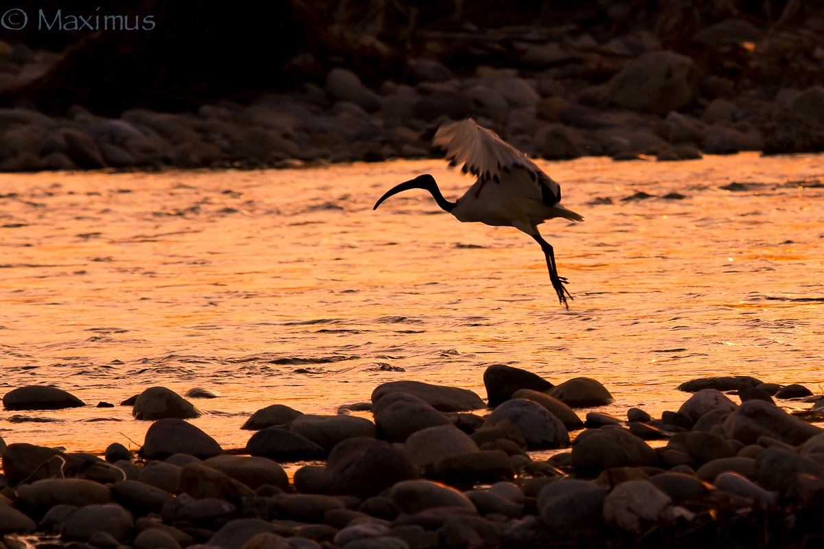 Tramonto sul ... mio Nilo