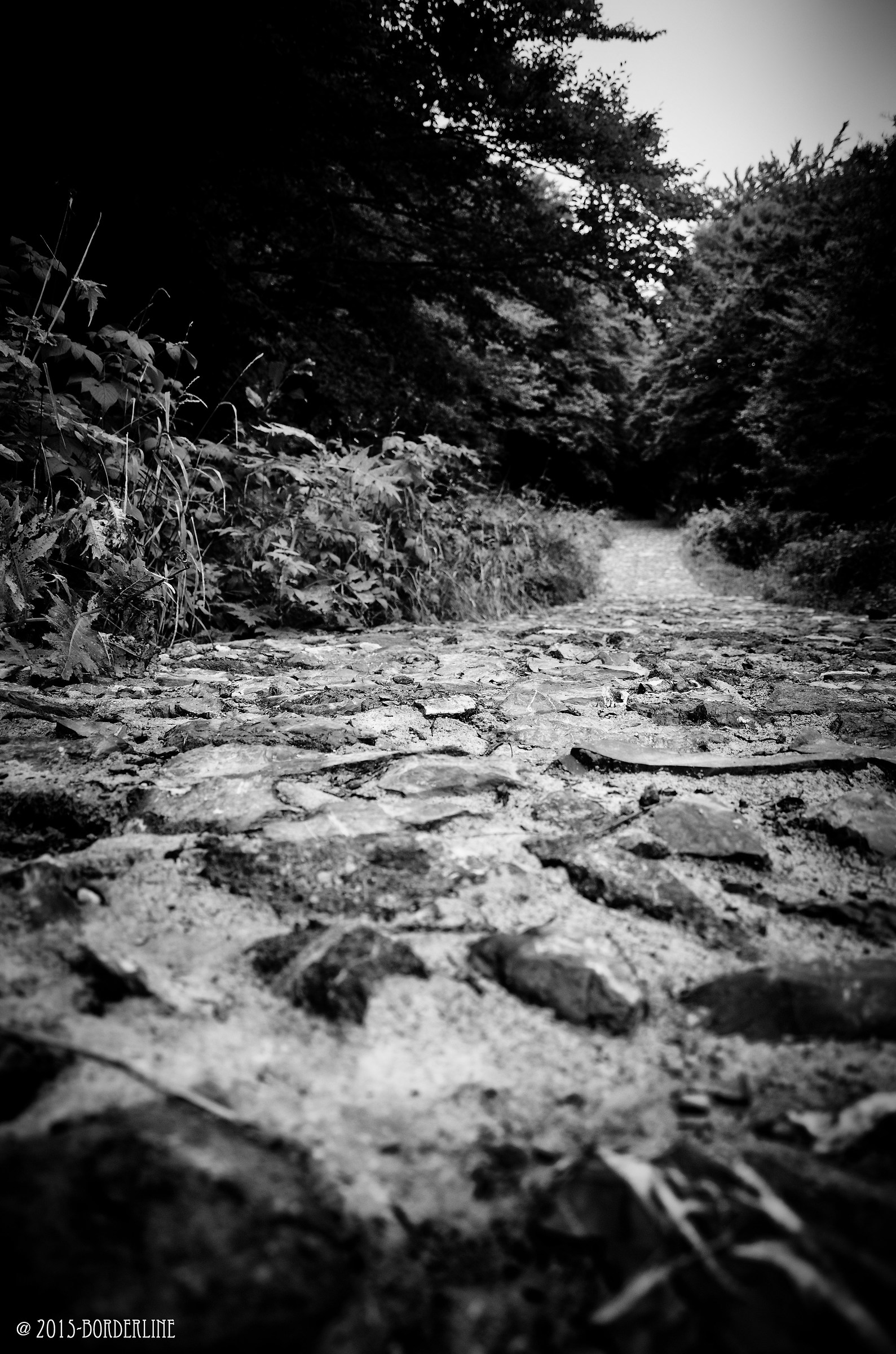 The secret garden. 1910