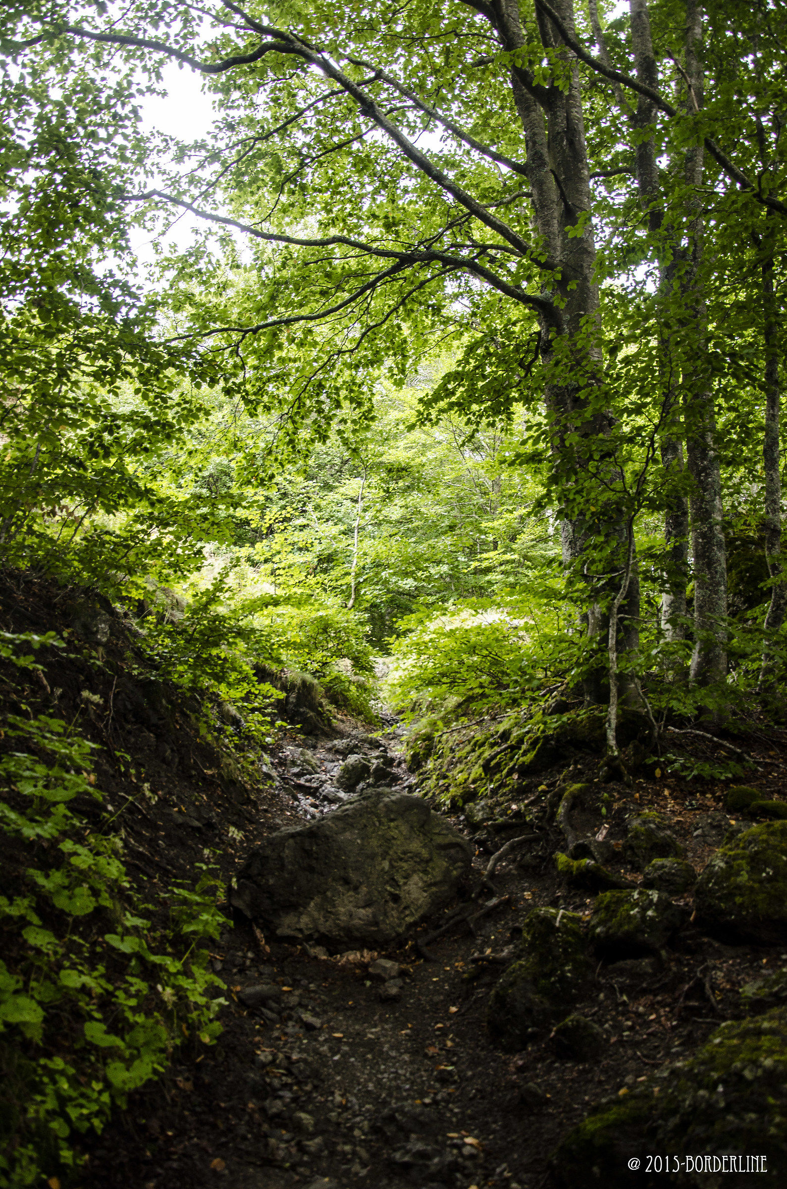 valle del fare anima