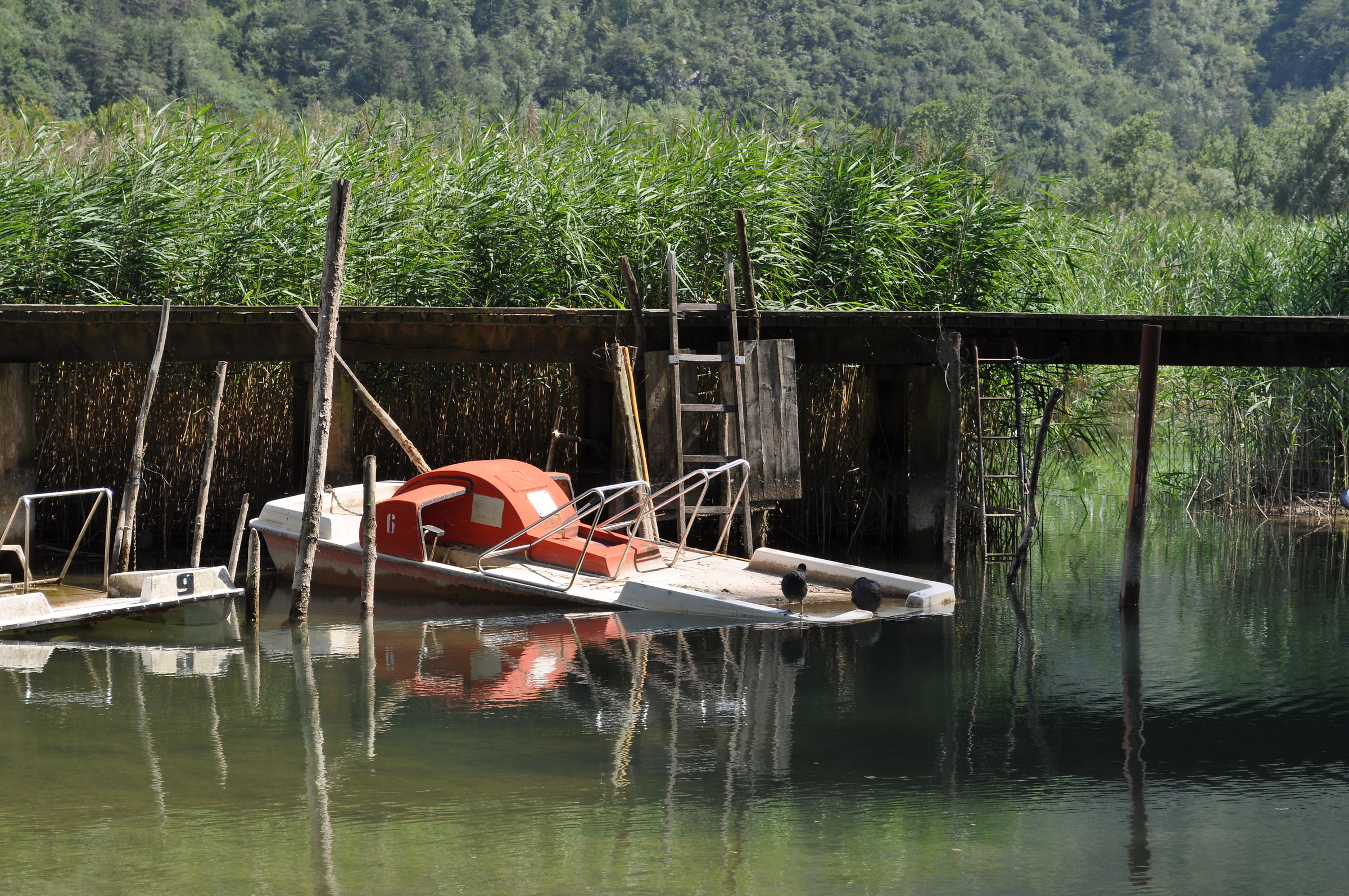 we have blue feet ... and sink the boat ...