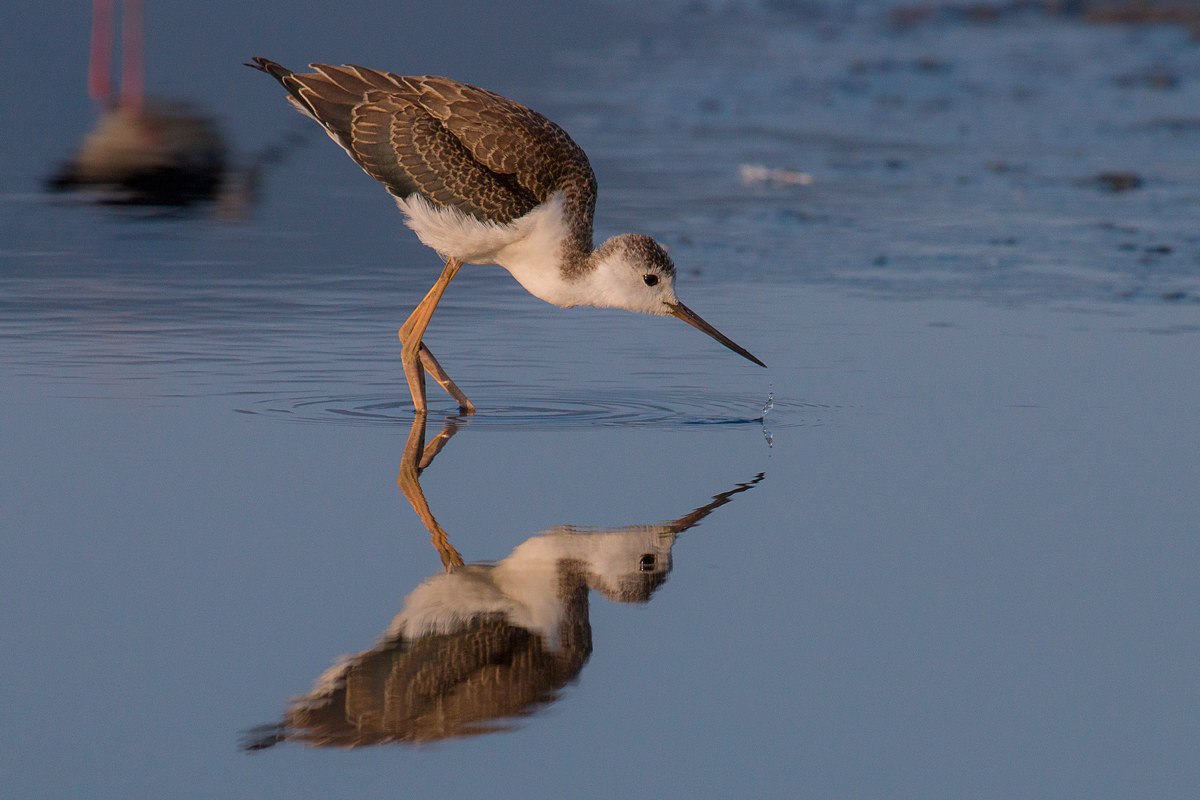 sotto lo sguardo attento di mamma