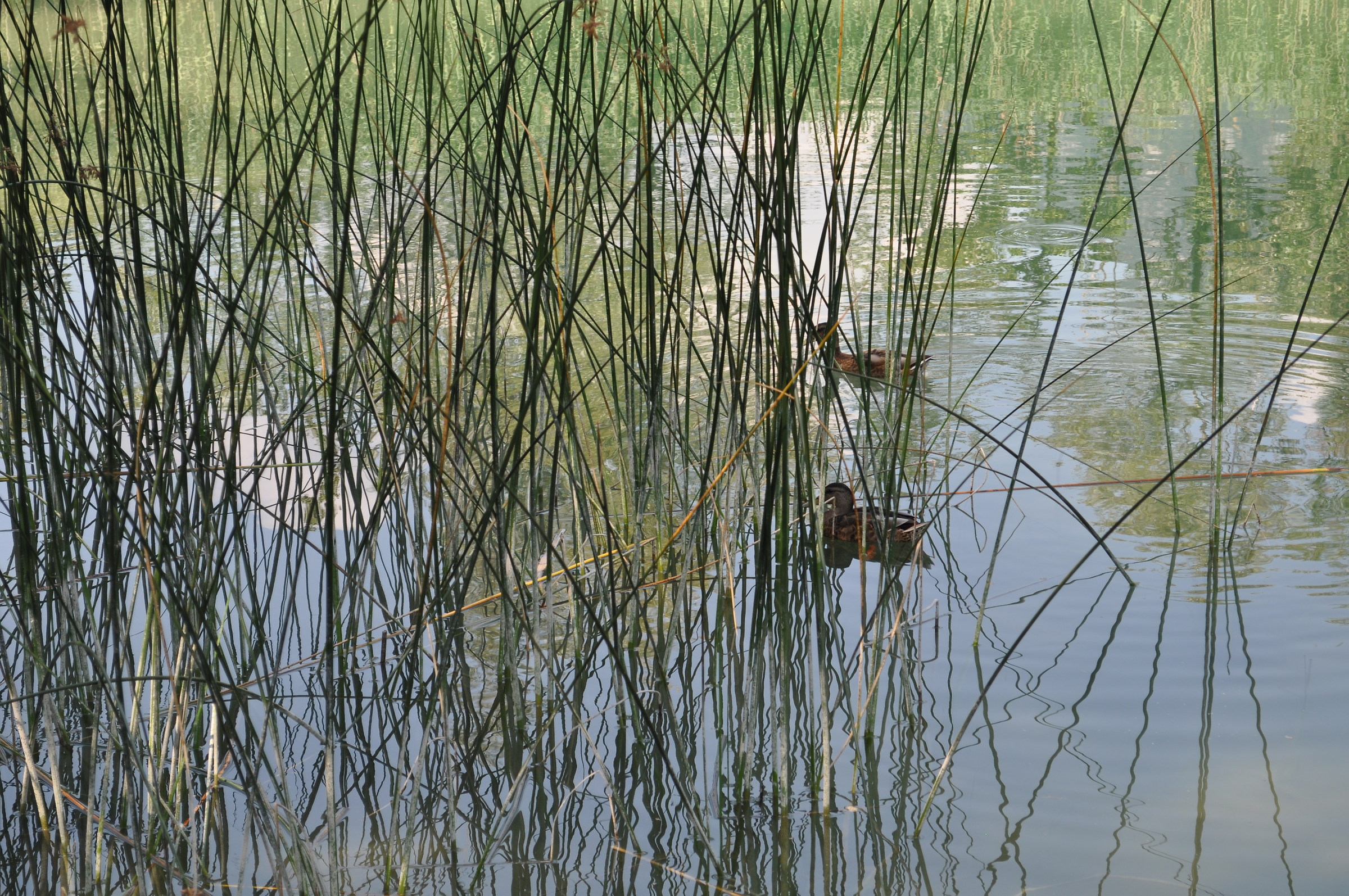 us hide ... the paparazzi ...