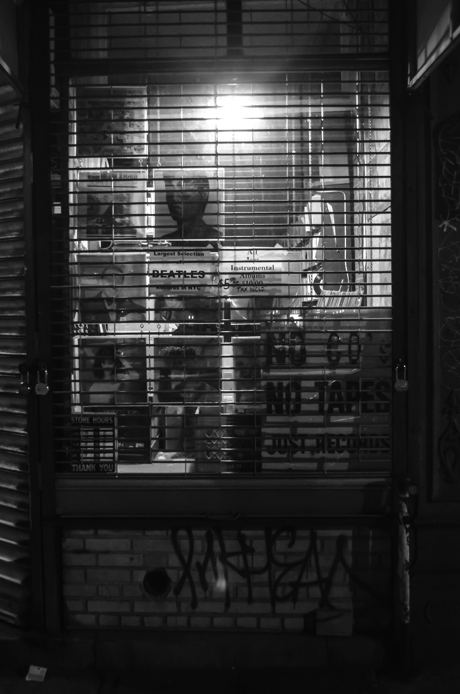 Rare Records Store Village NY