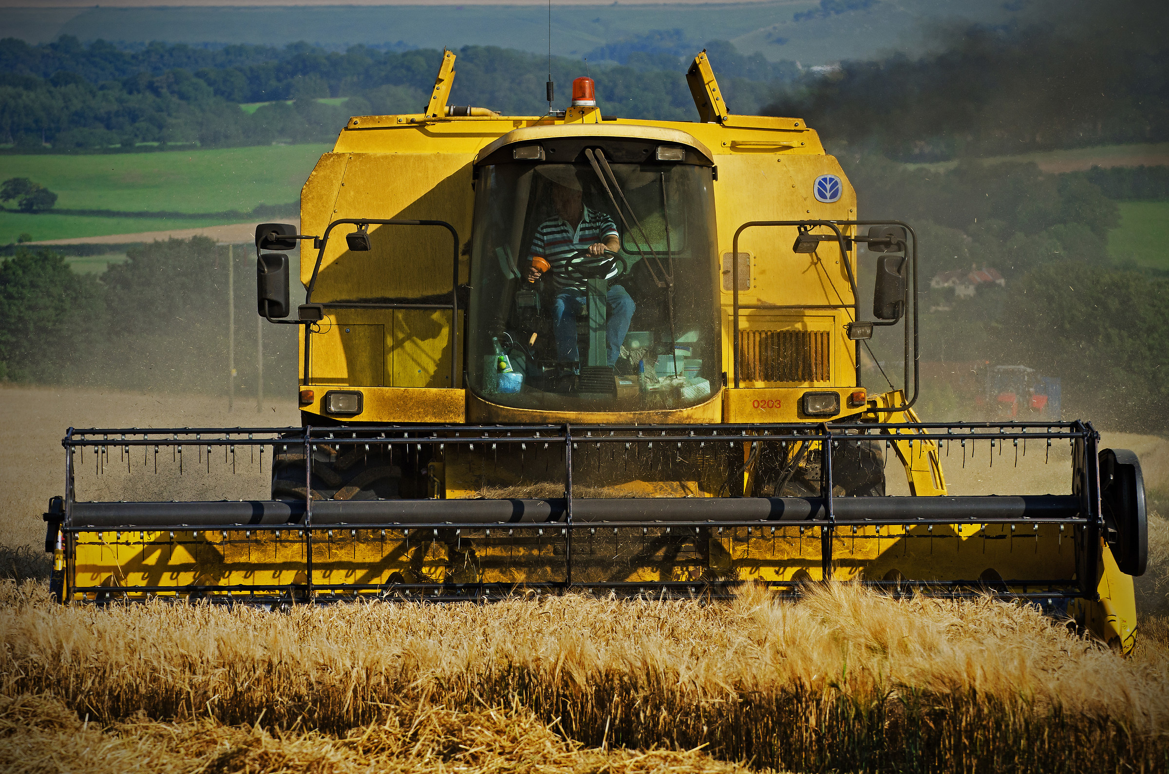 At Last - The Harvest!