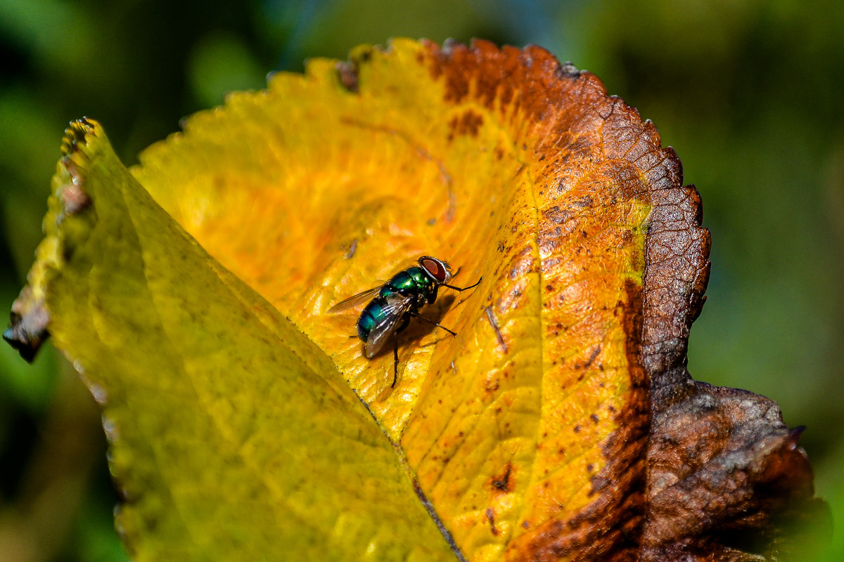 I hope he can escape