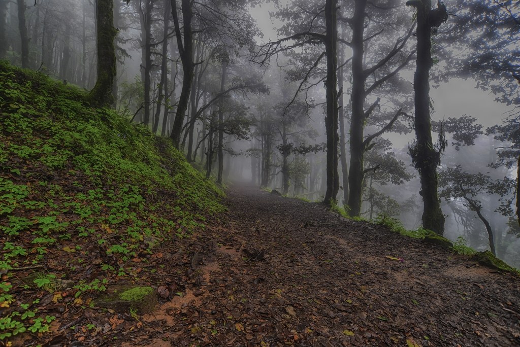 miles to go before i sleep