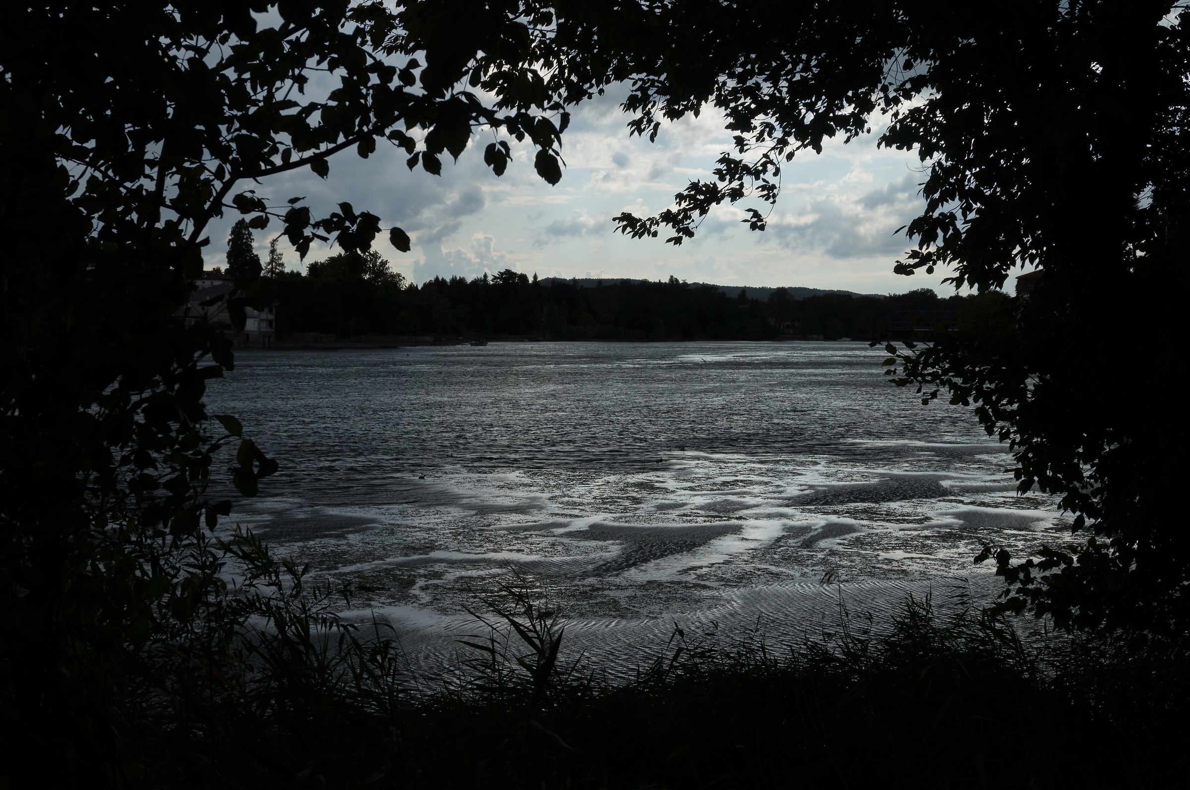 Afternoon summer towpath with impending storm 2