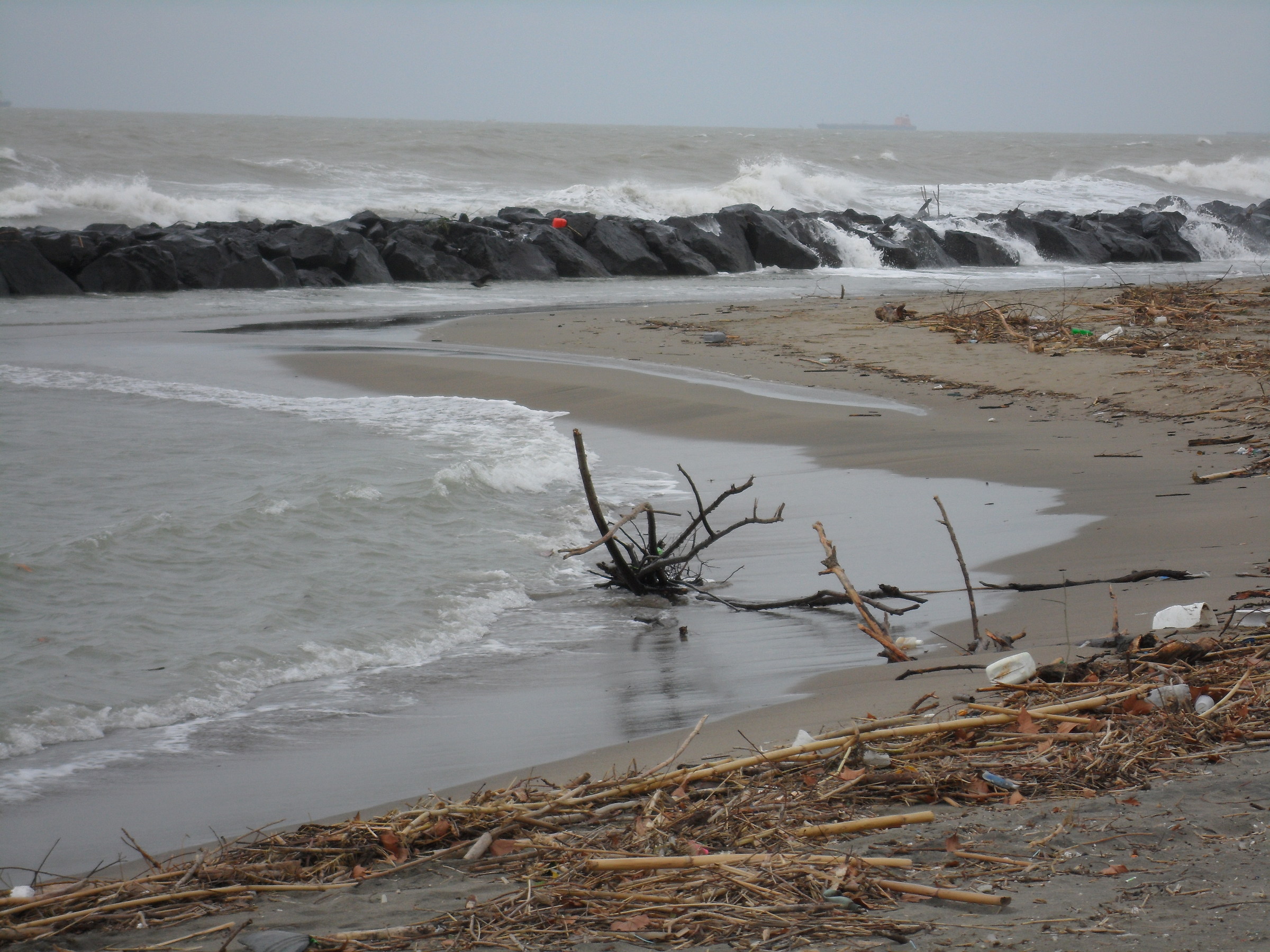 Desolazione invernale - Fiumicino
