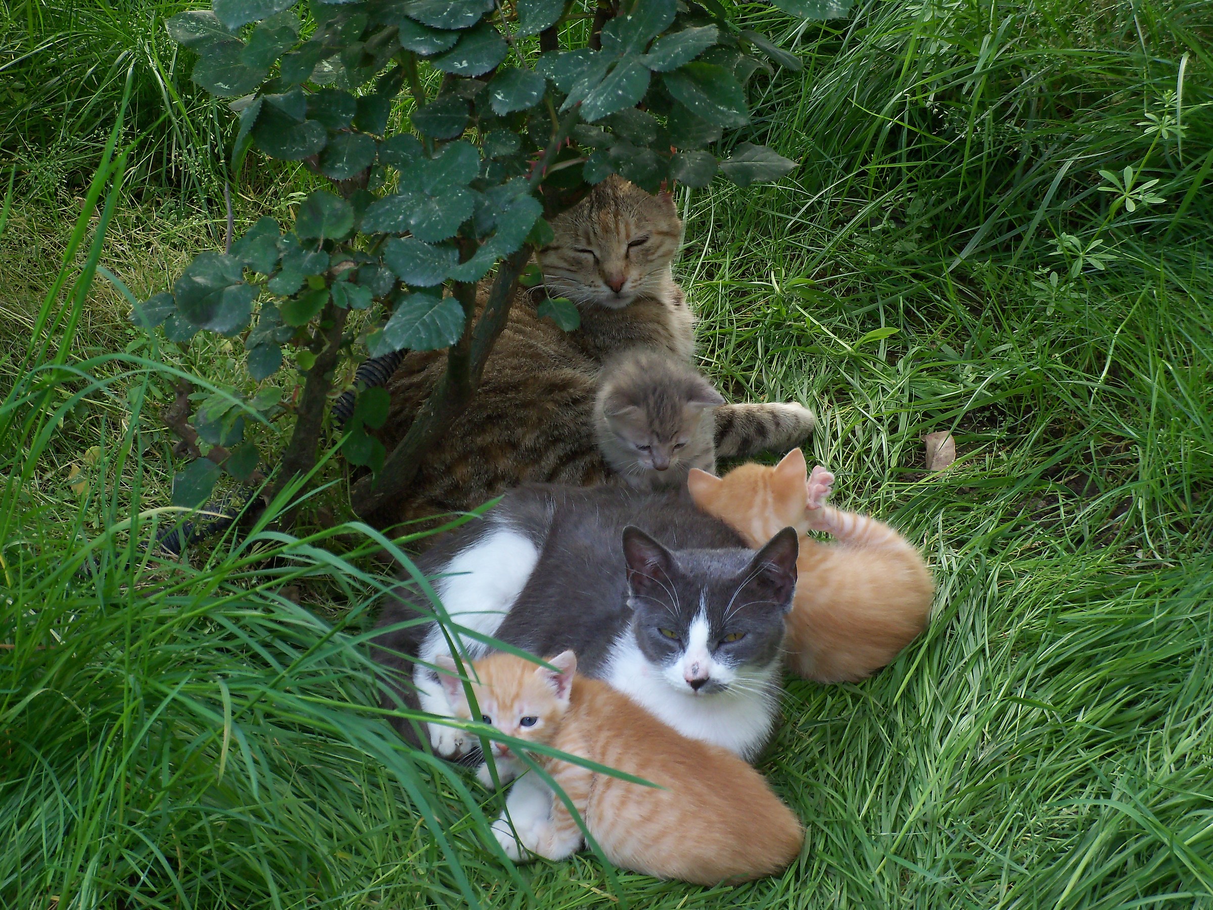 Riunione di famiglia