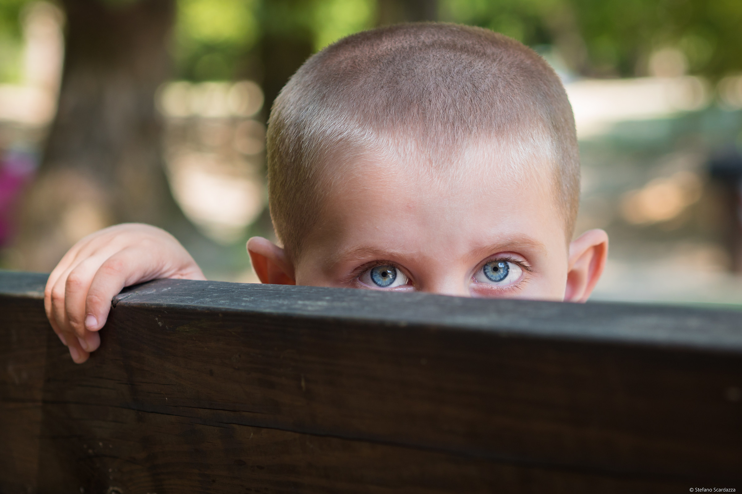 ...facciamo una foto: NO ! ! !