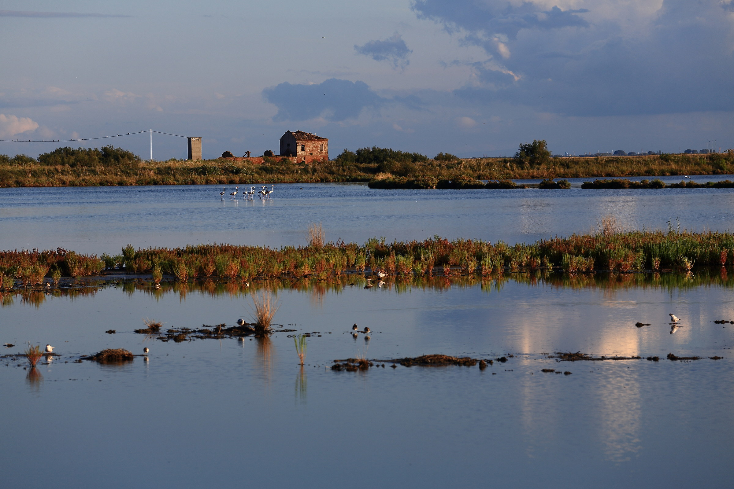 Valli di Comacchio al tramonto