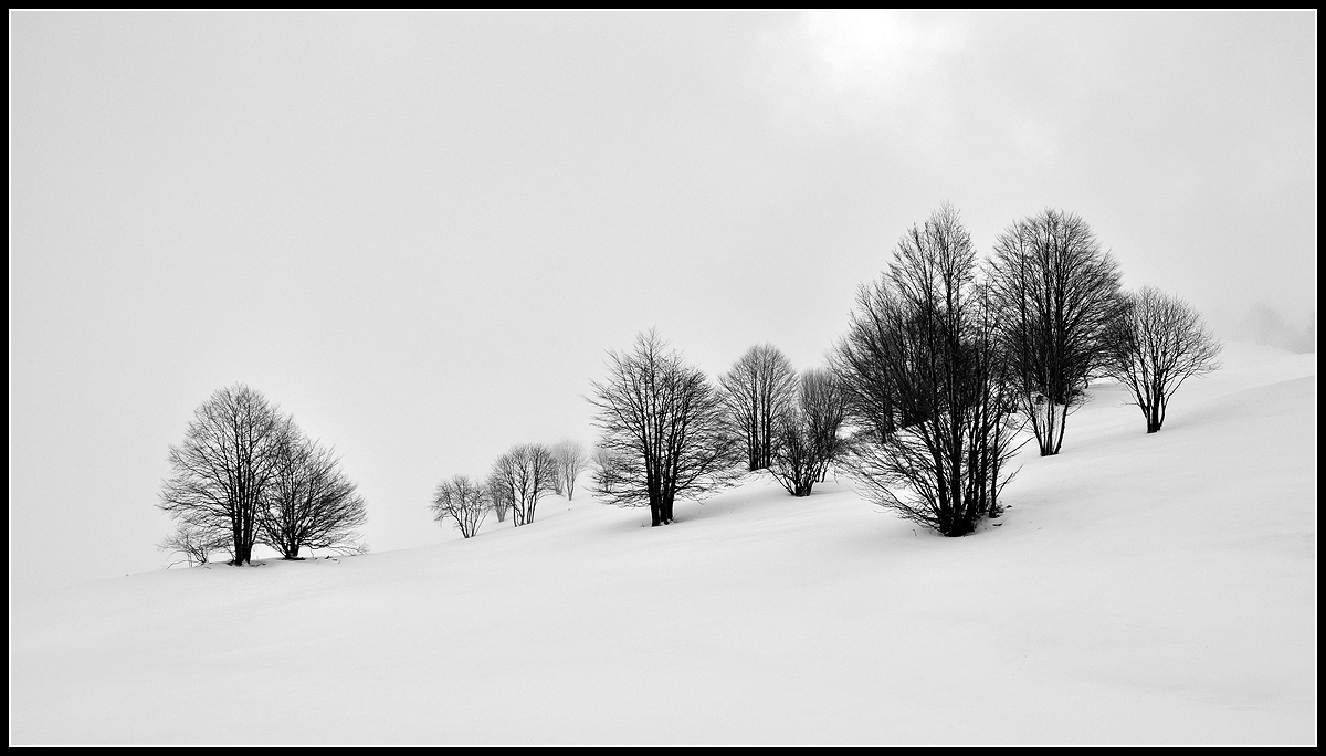 Come un disegno a china