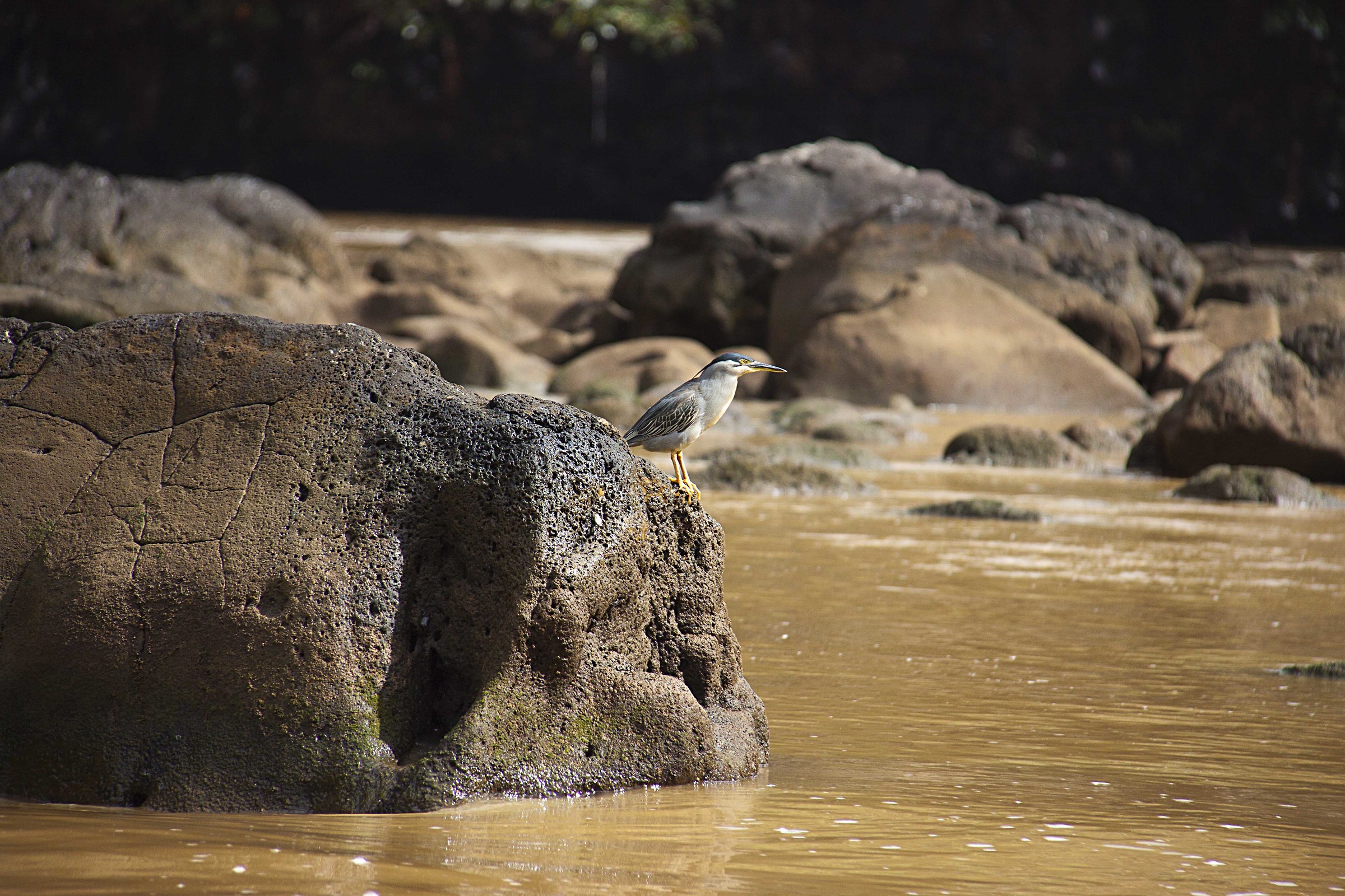Oggi che si mangia??