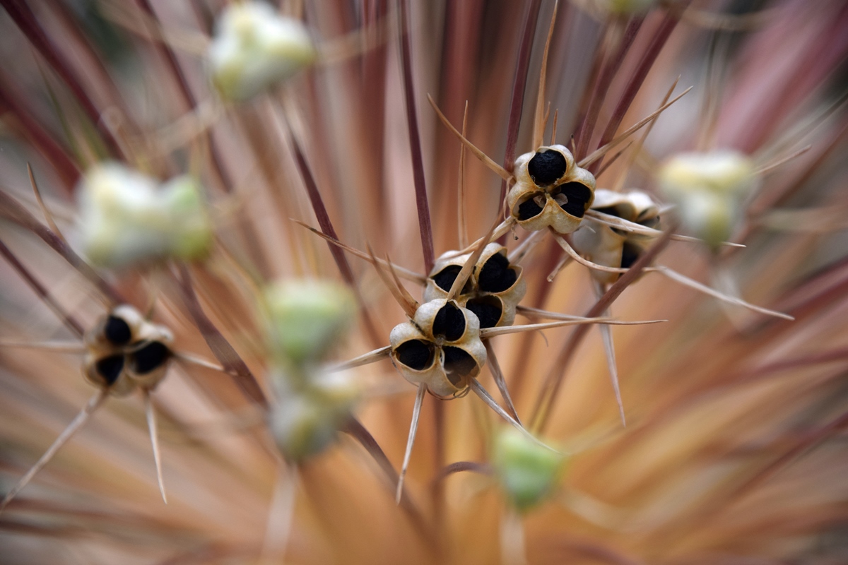 Strano e meraviglioso!