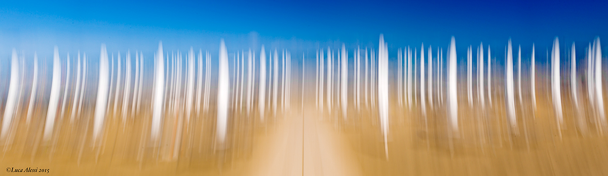 Impressioni da spiaggia