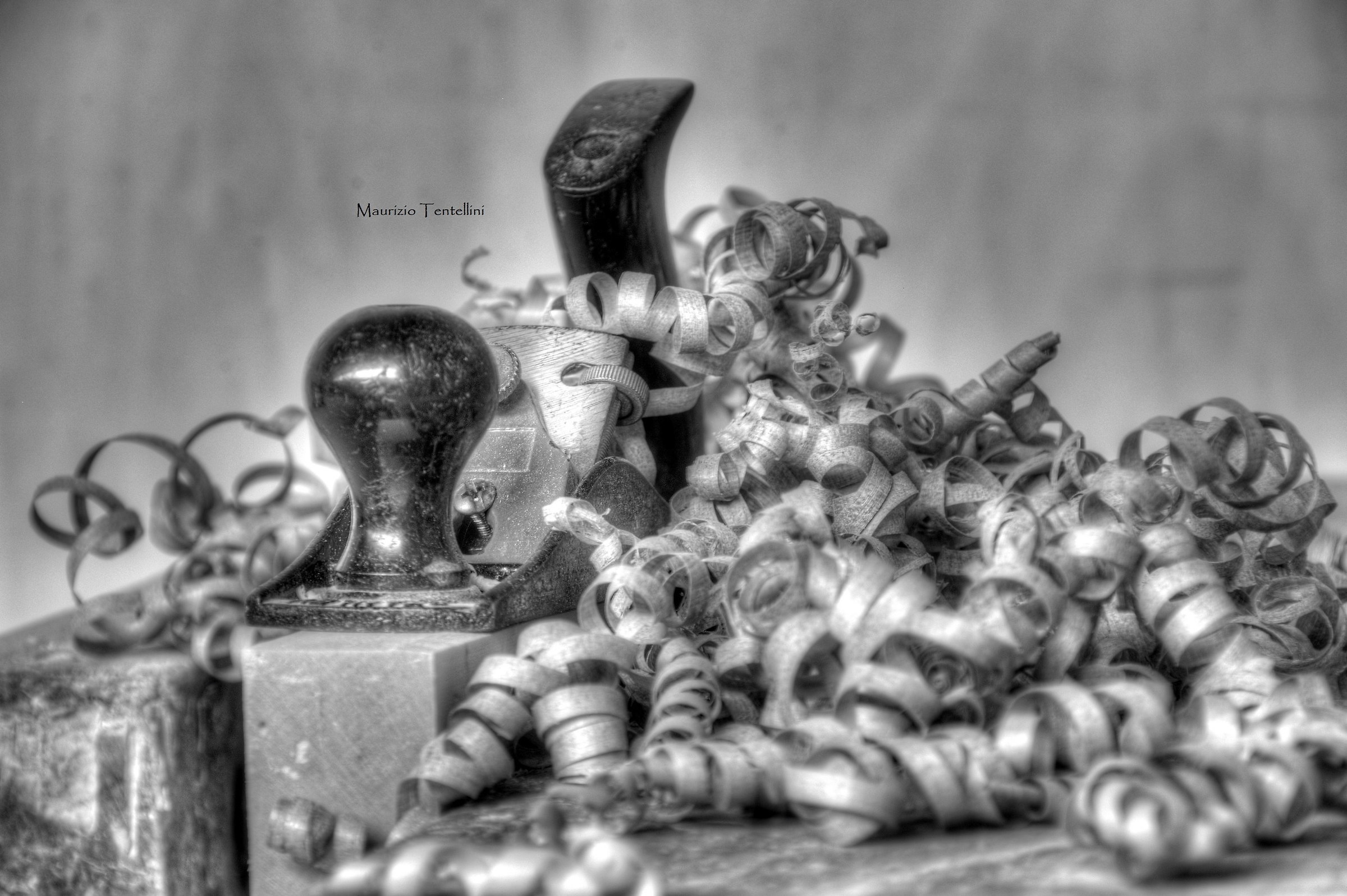 the essence of the wood