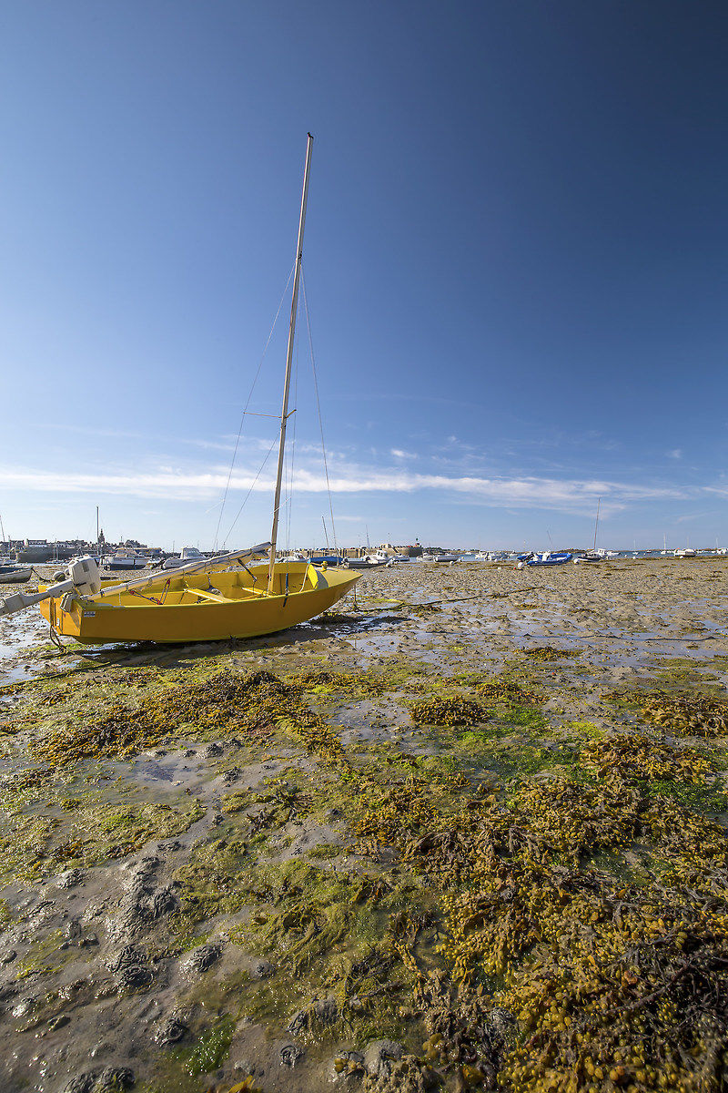 Attendendo l'alta marea