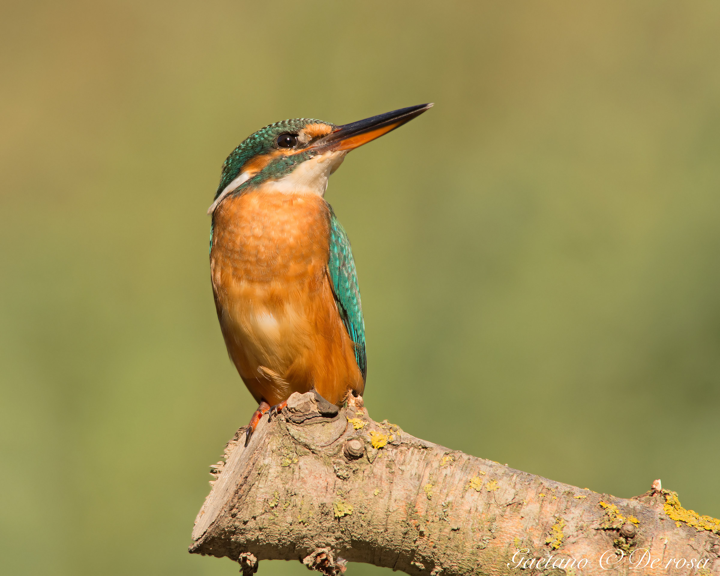 Mi chiamo Martina...