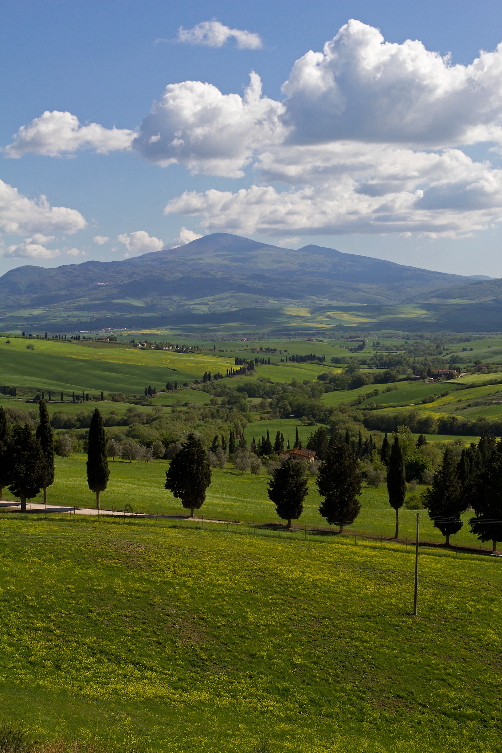 Slopes of Mount Amiata