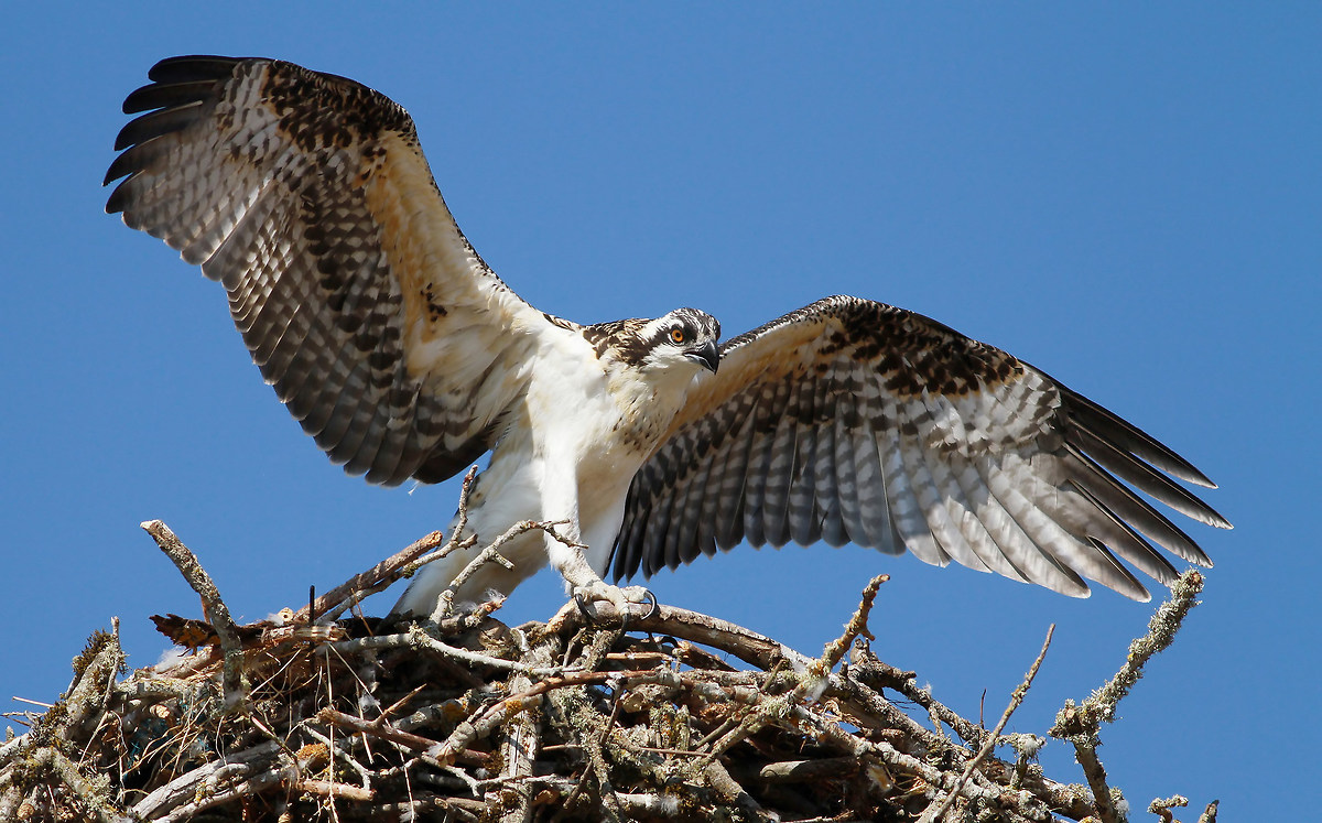 Pensando a questo proposito