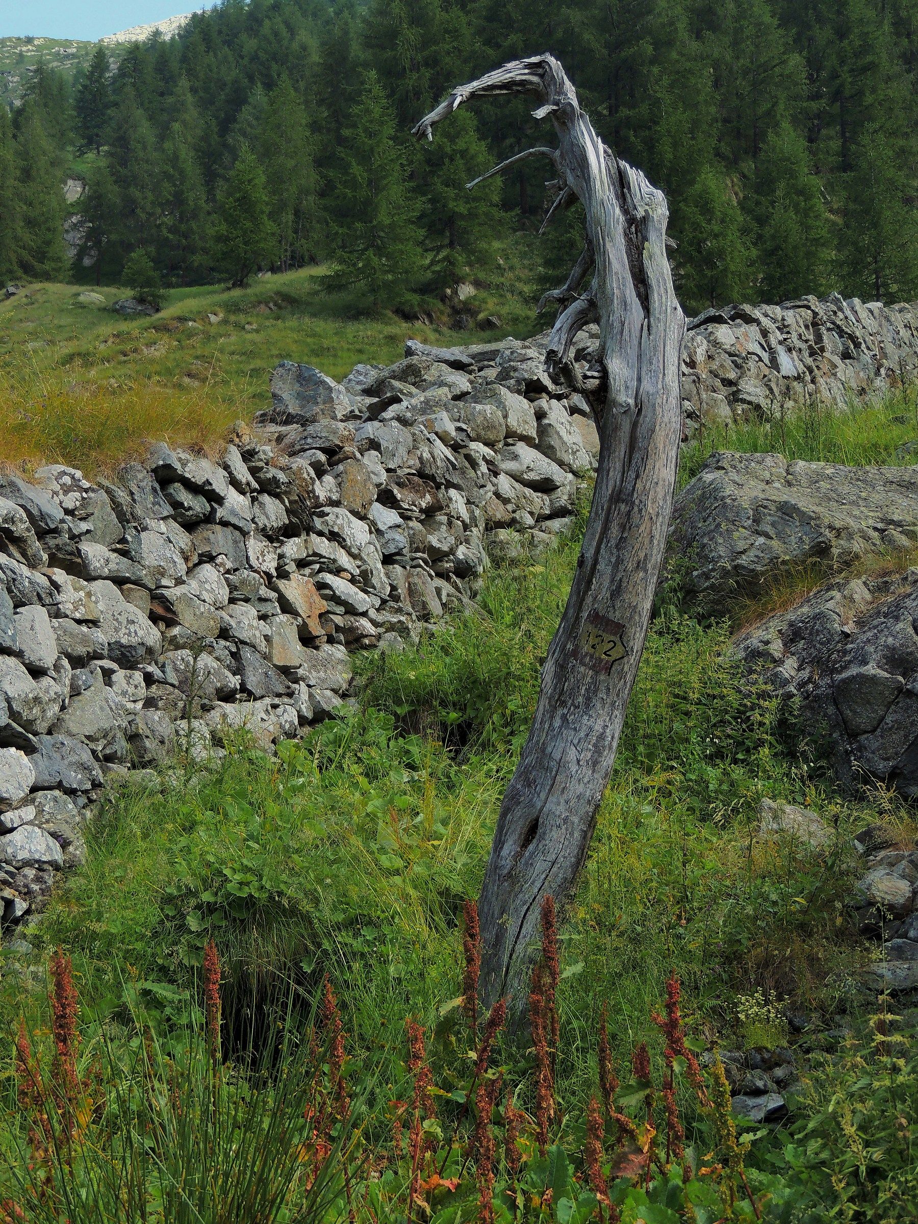 Come ti indico la via