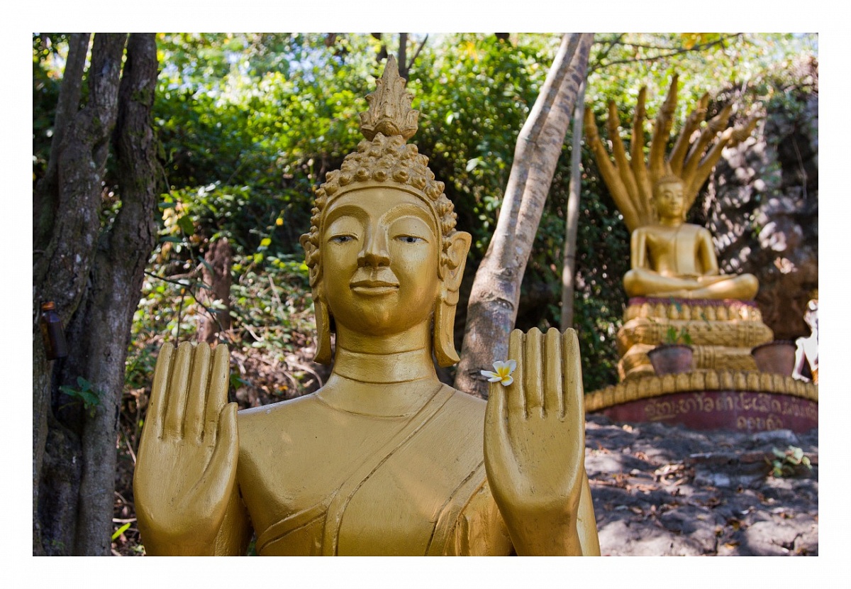 Pace e bene fratello