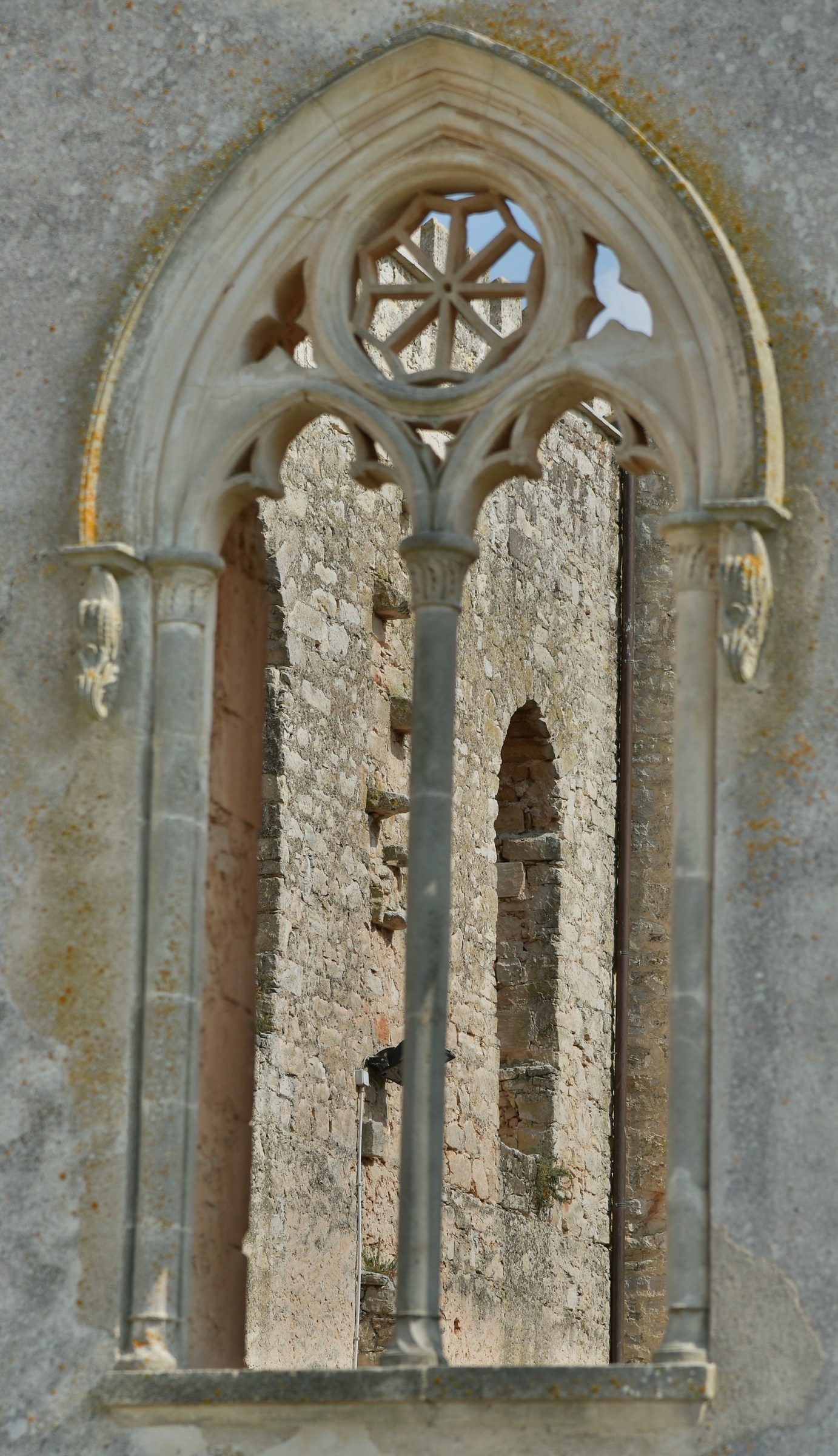 Sulle tracce di Montalbano