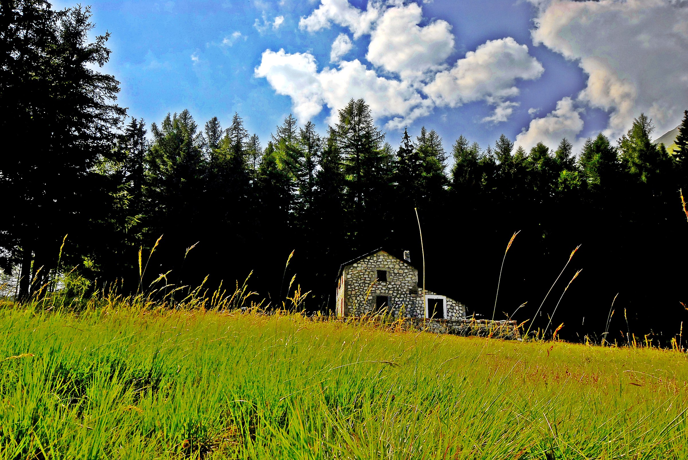 The retreat source vetica AQ