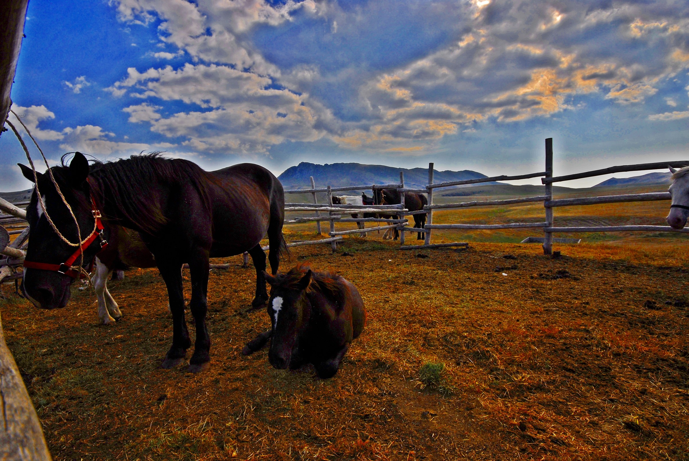 after a day of hard work