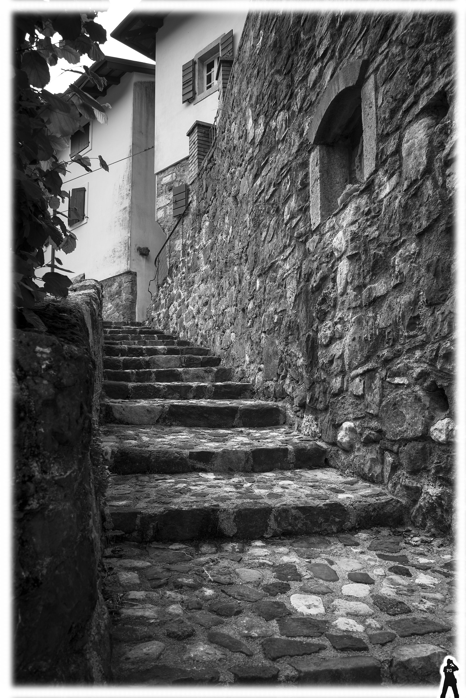 the ladder to the house ...