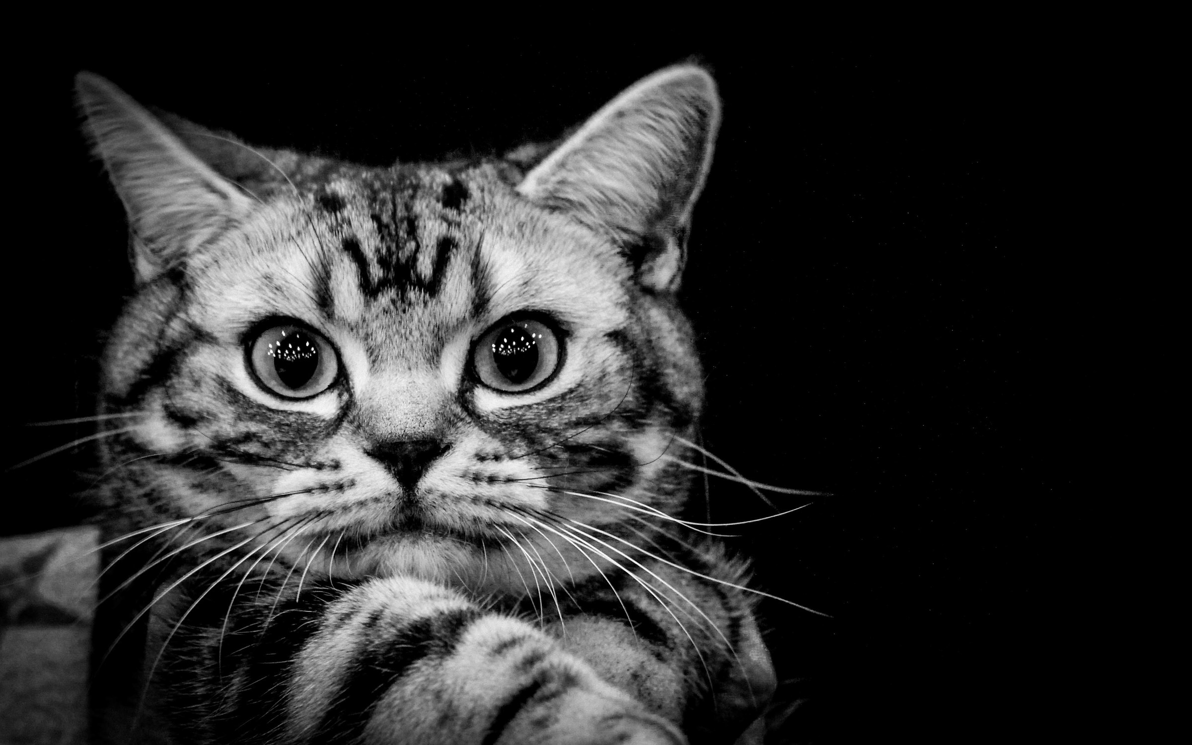 Perché così serio?