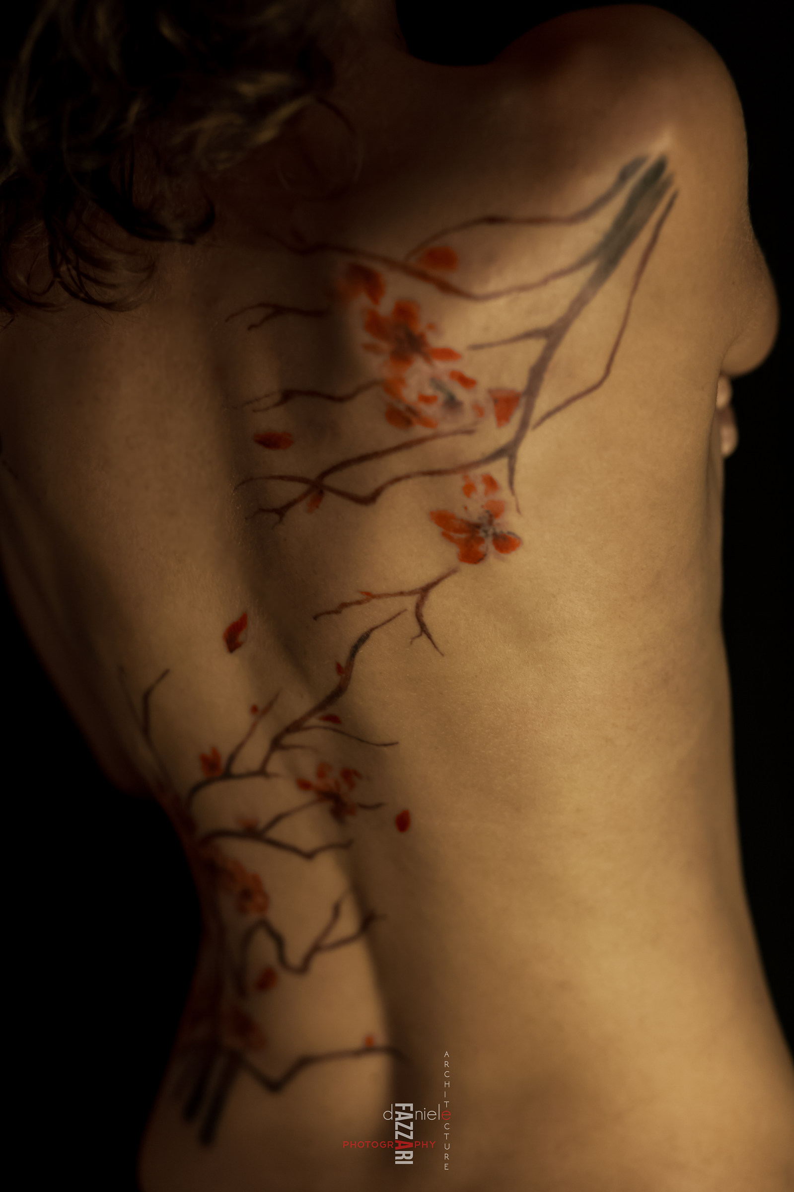 L'abbraccio del Ciliegio