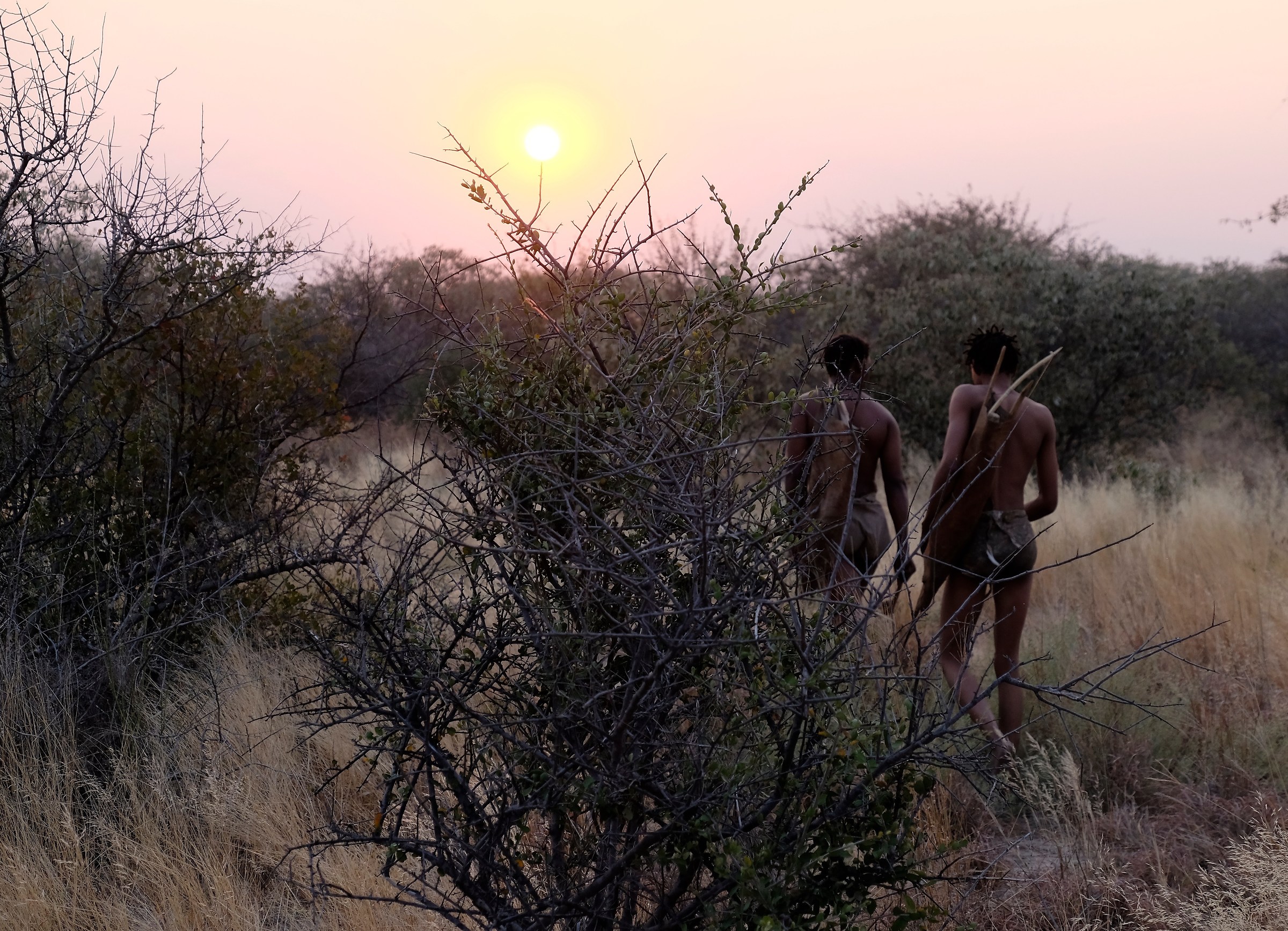 Bushmen - the Kalahari Desert