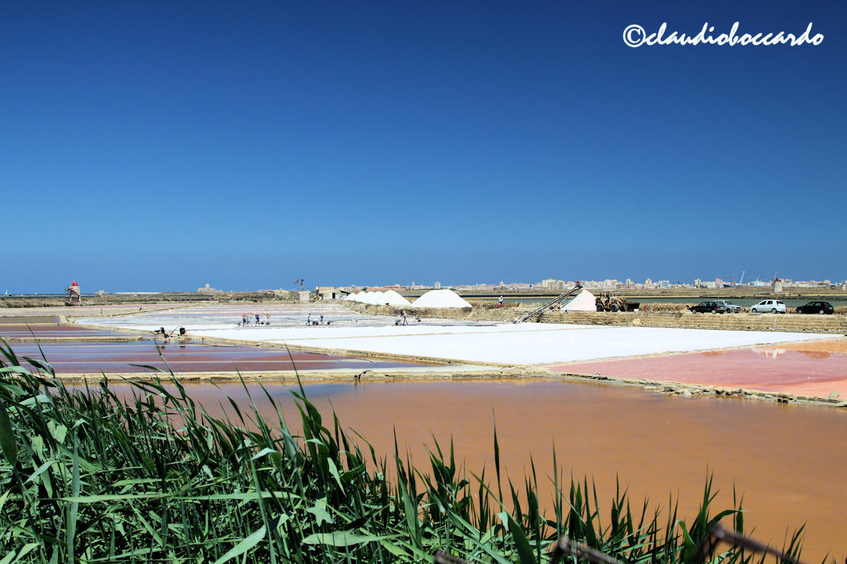 The Saline of Trapani