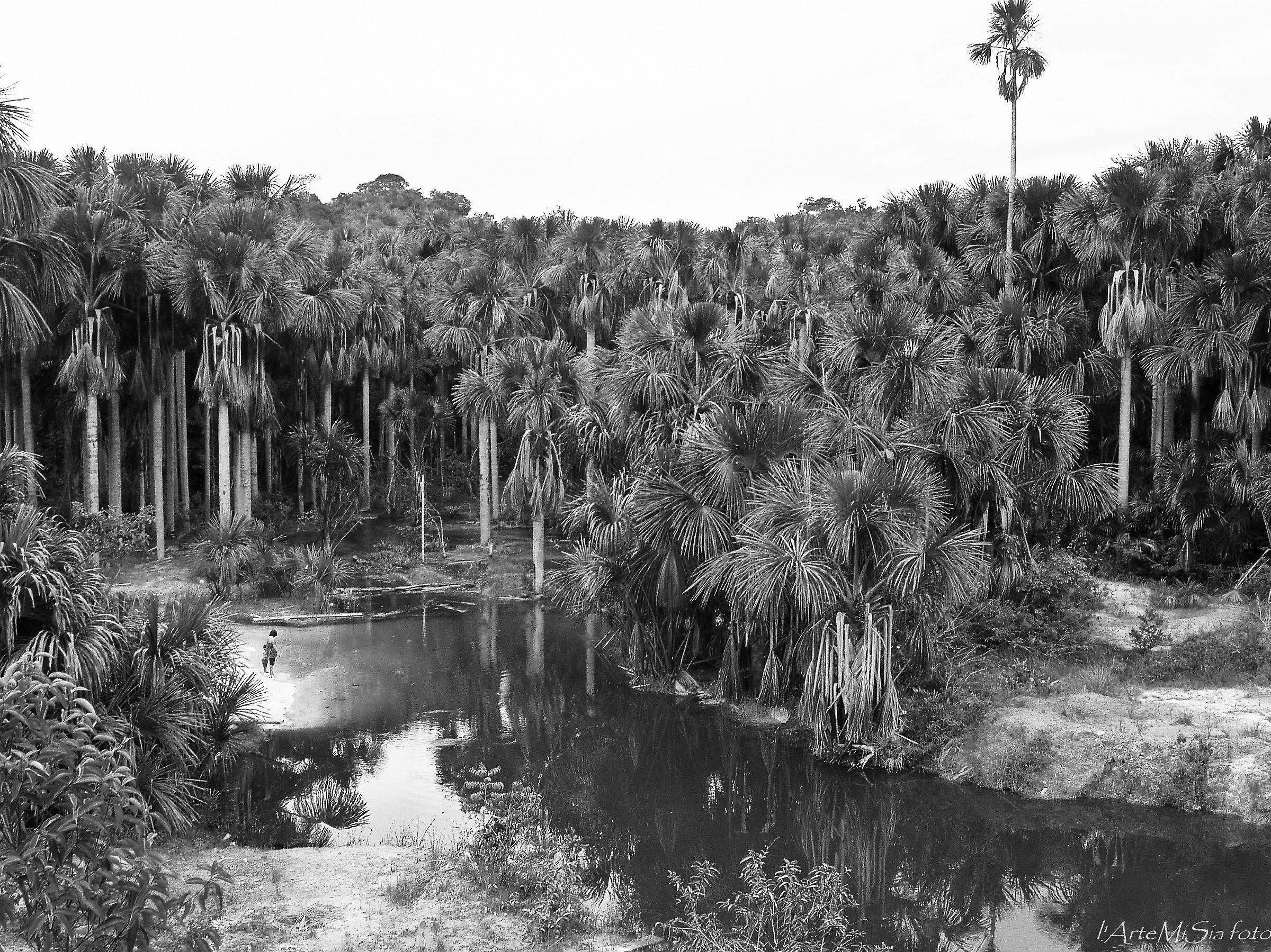 Garapè north of Manaus