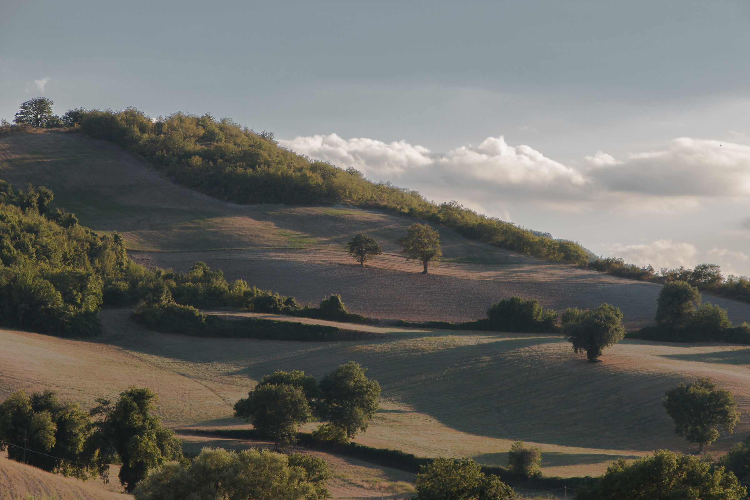 Perdersi nelle Marche...