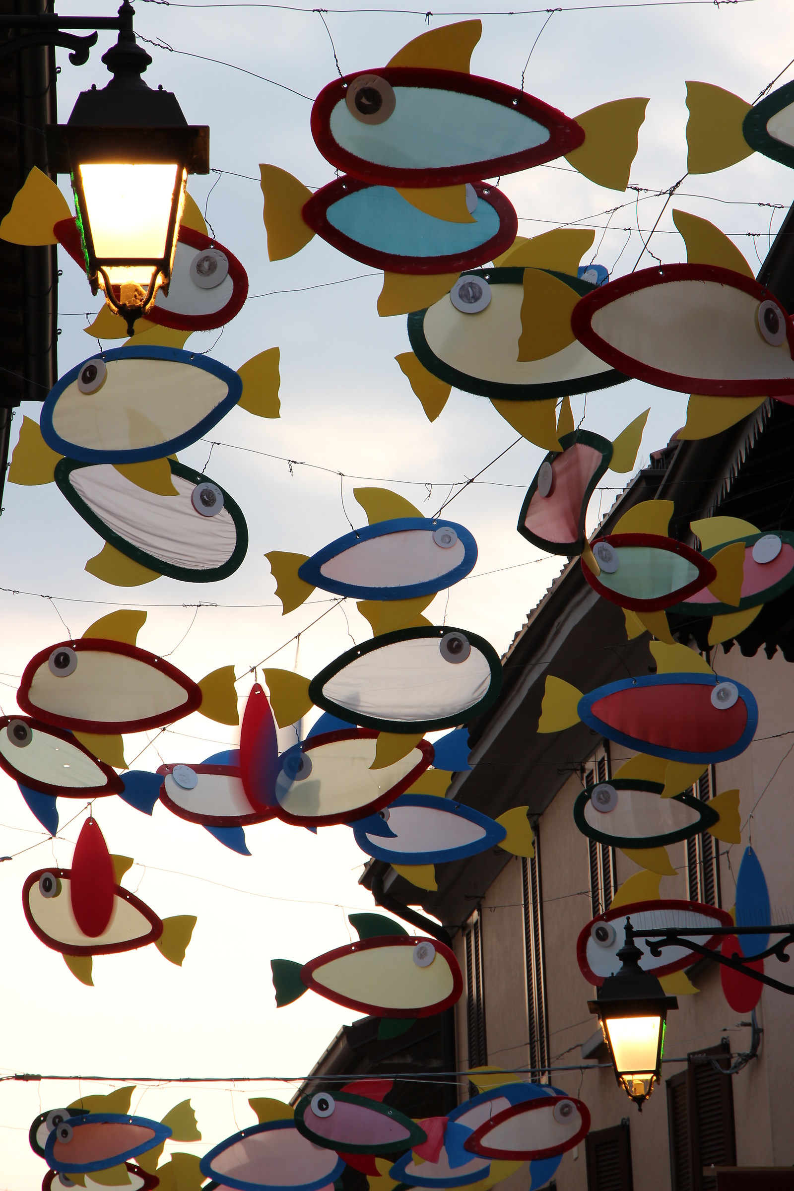 the fishes into the sky