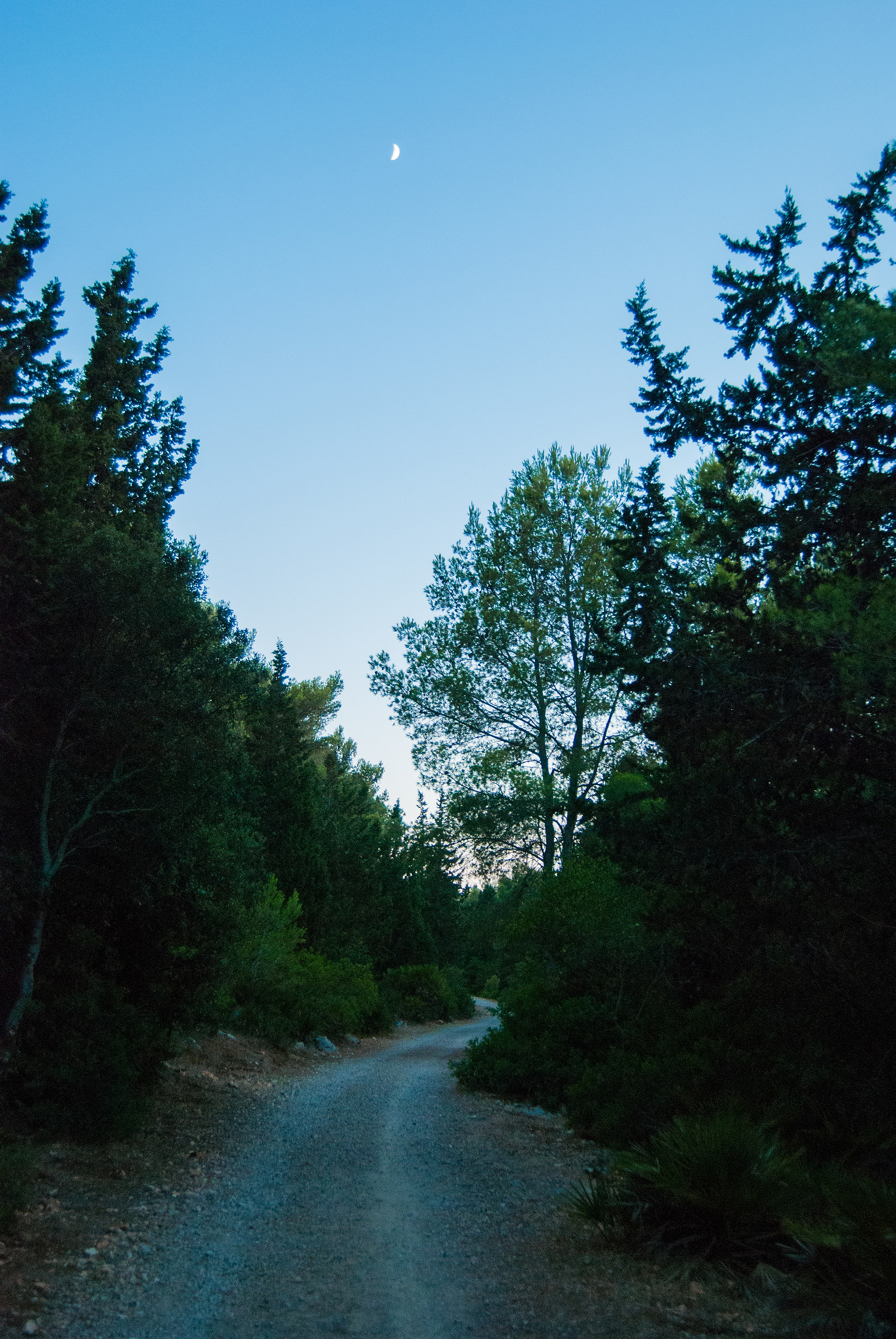 Crepuscolo a Punta Giglio