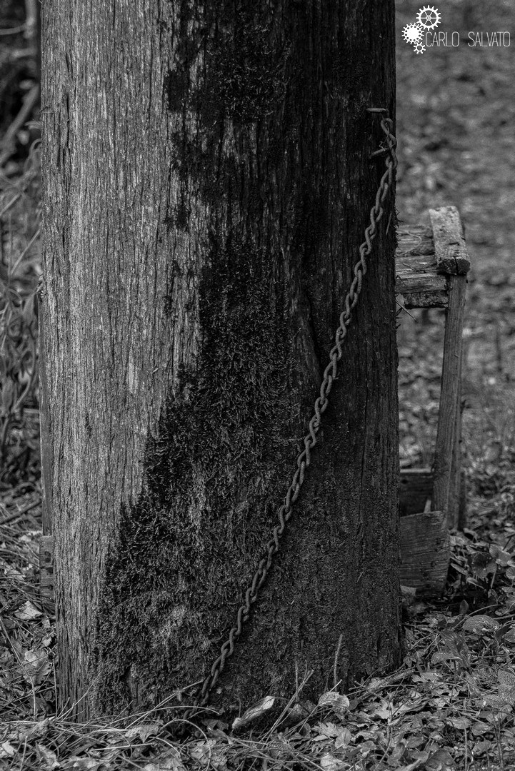 I will not leave - I will not leave