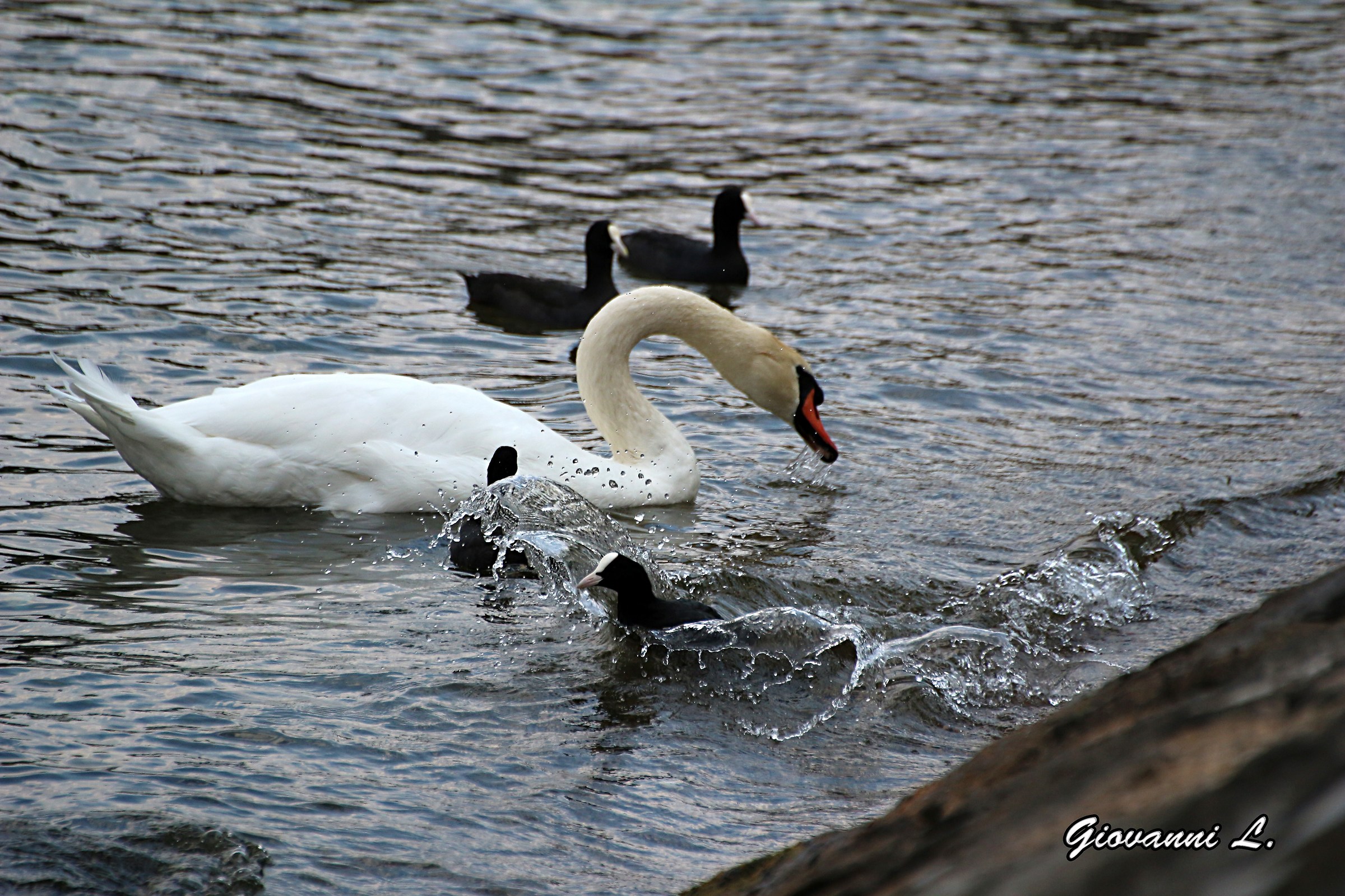 pistaaaaaa'm in a hurry :)