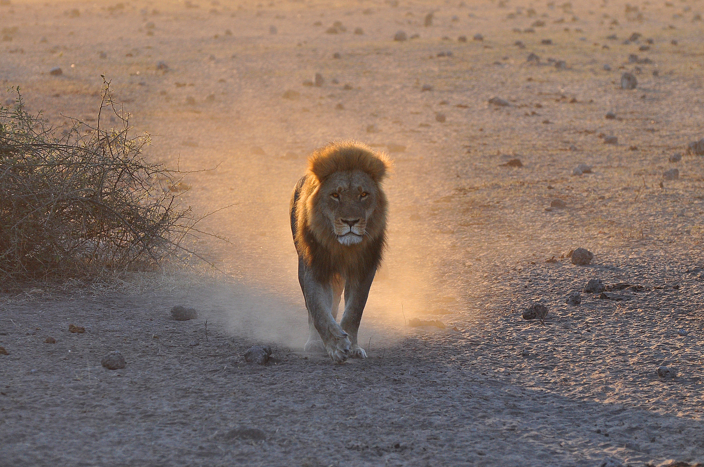 Dal primo sole del mattino...