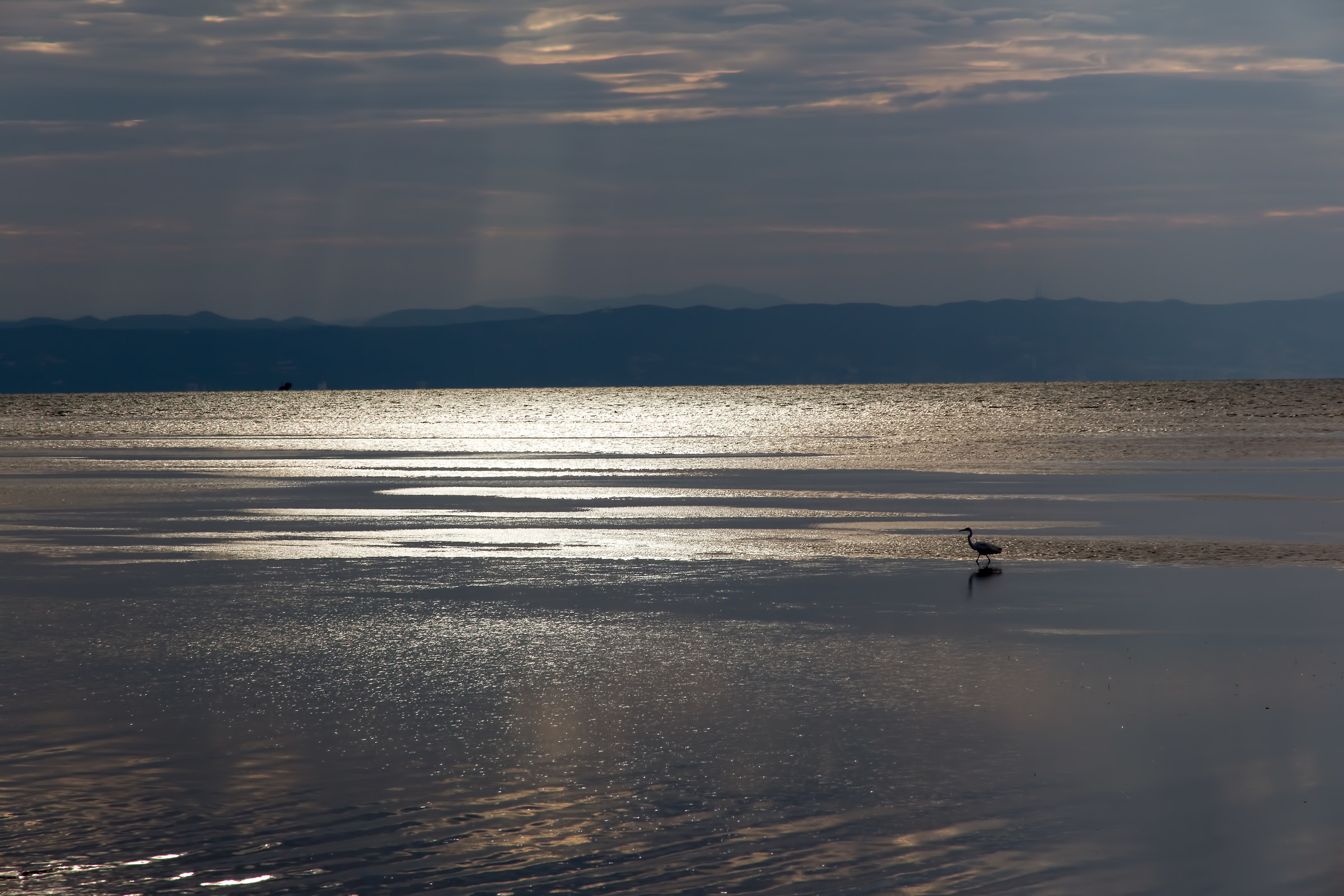 cercando uno spiraglio