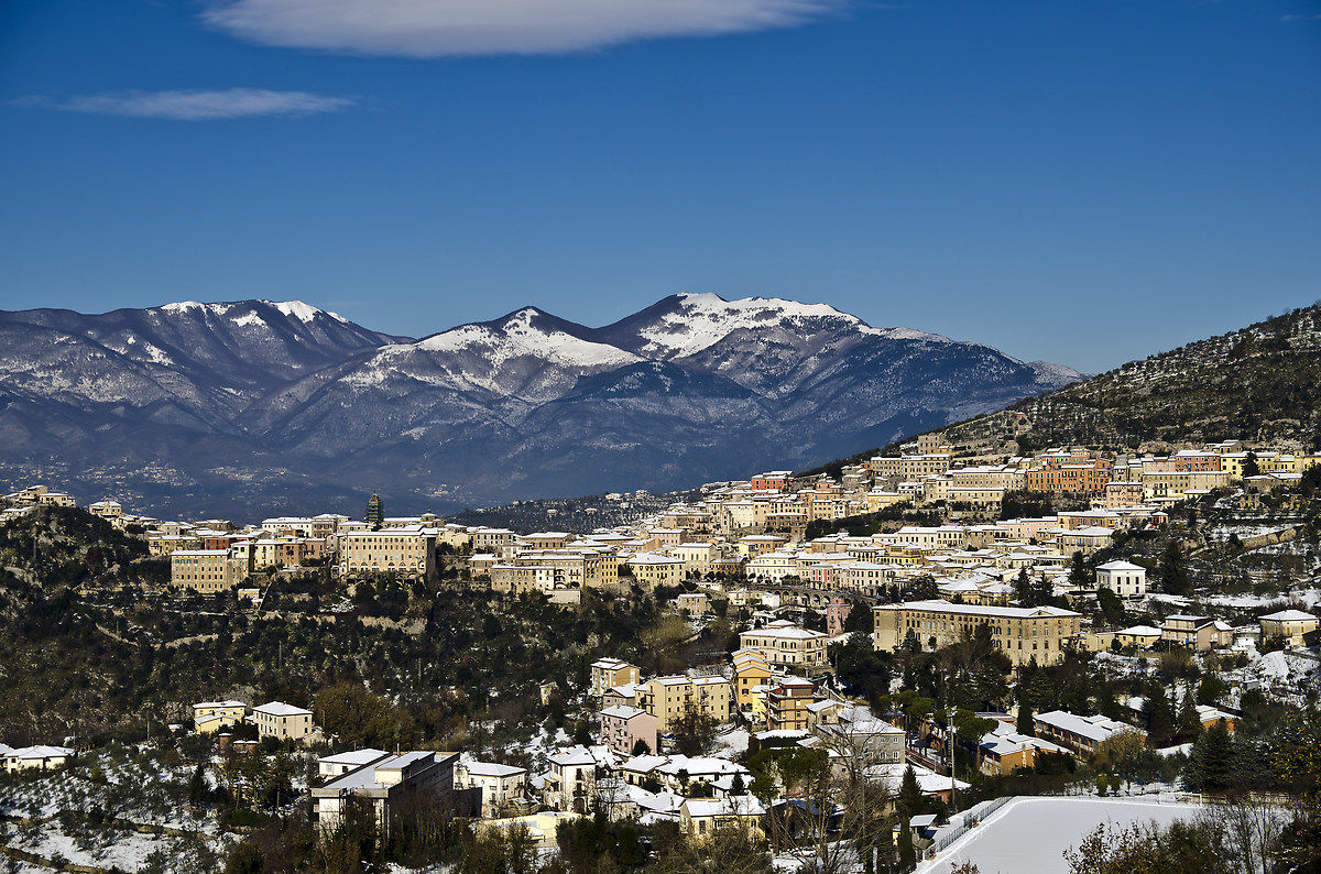 Arpino