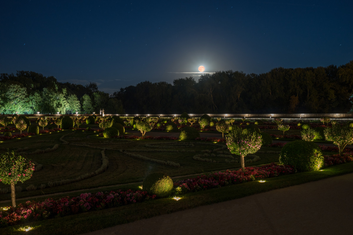 The gardens of Chenonceaux