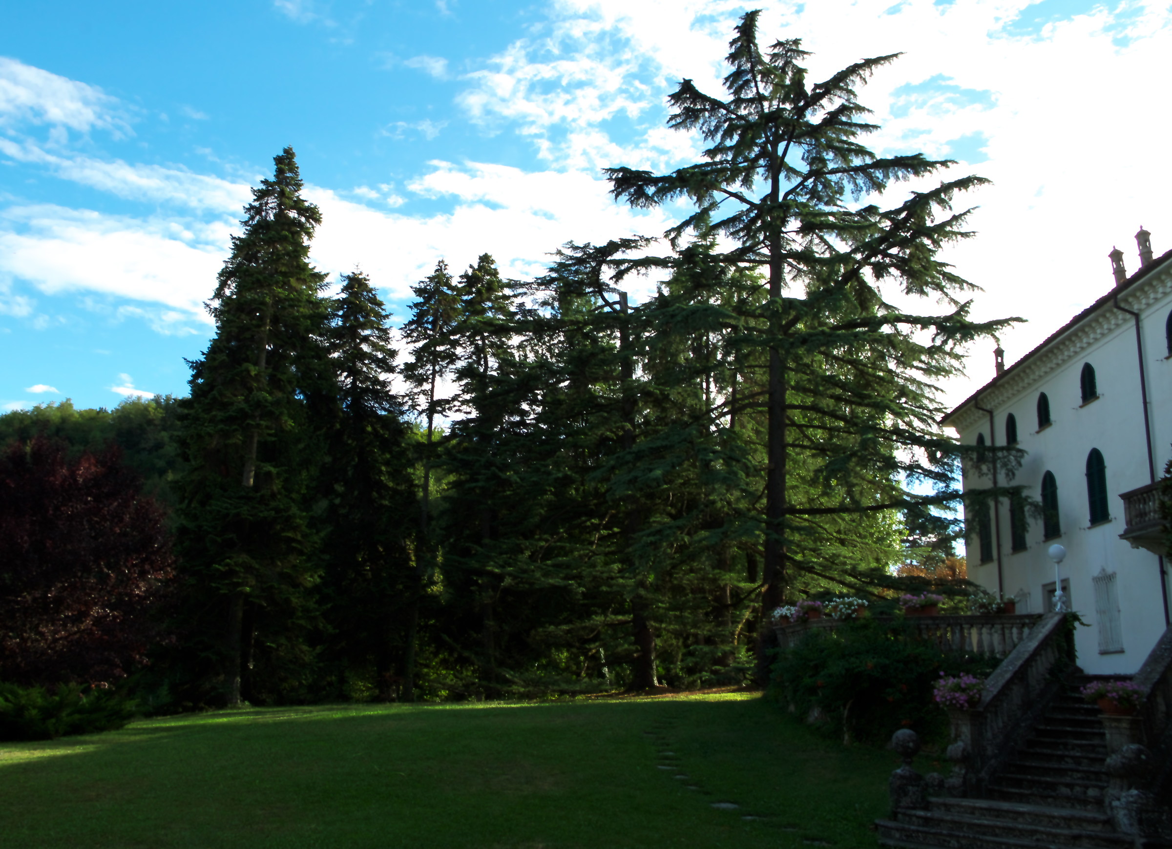 View of Villa with garden