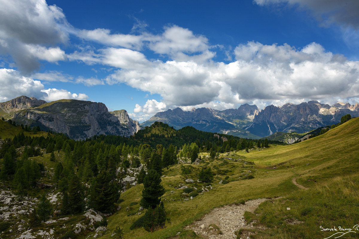 The View from the fork Palacia