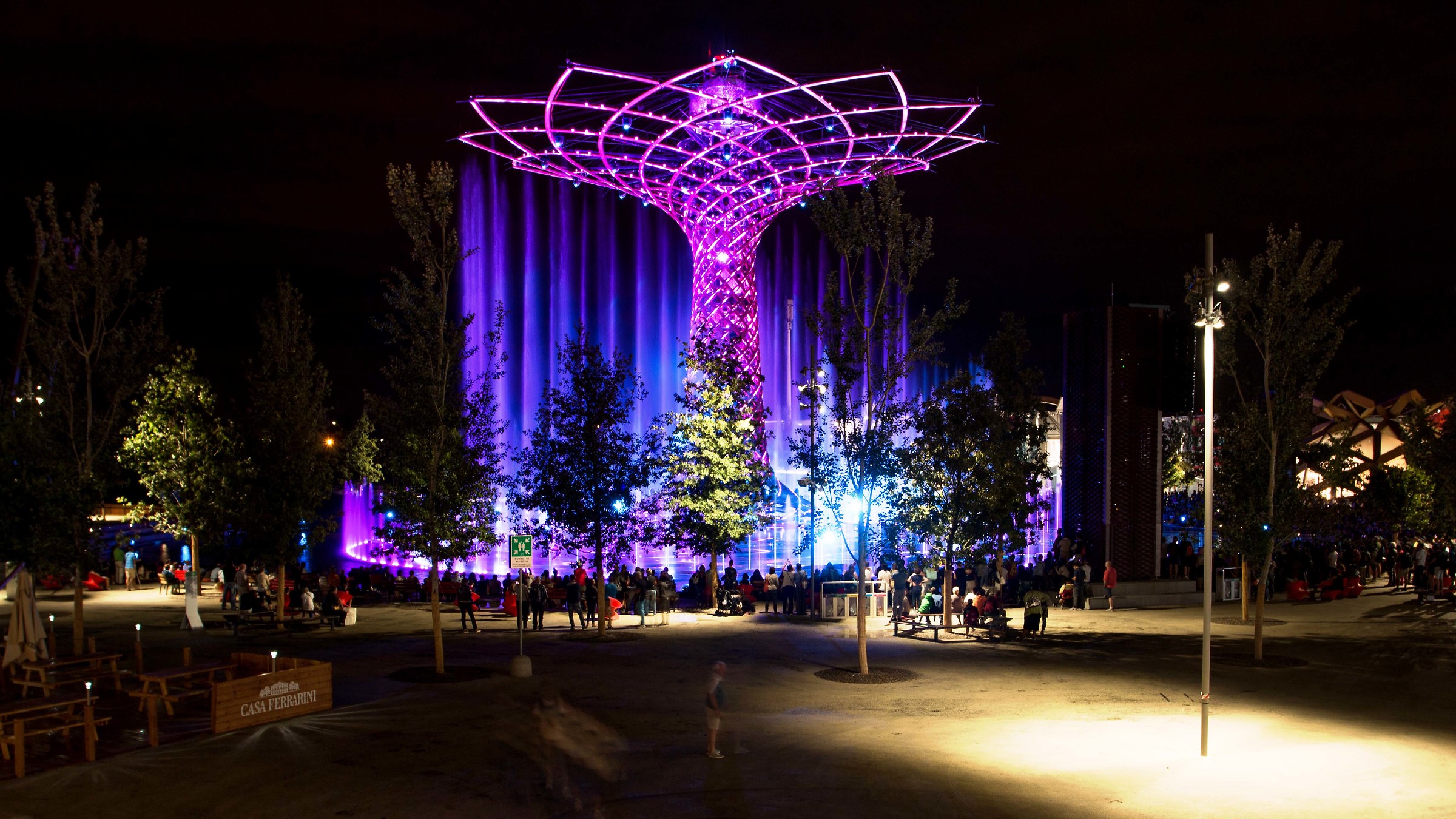 expo : Albero vita 3