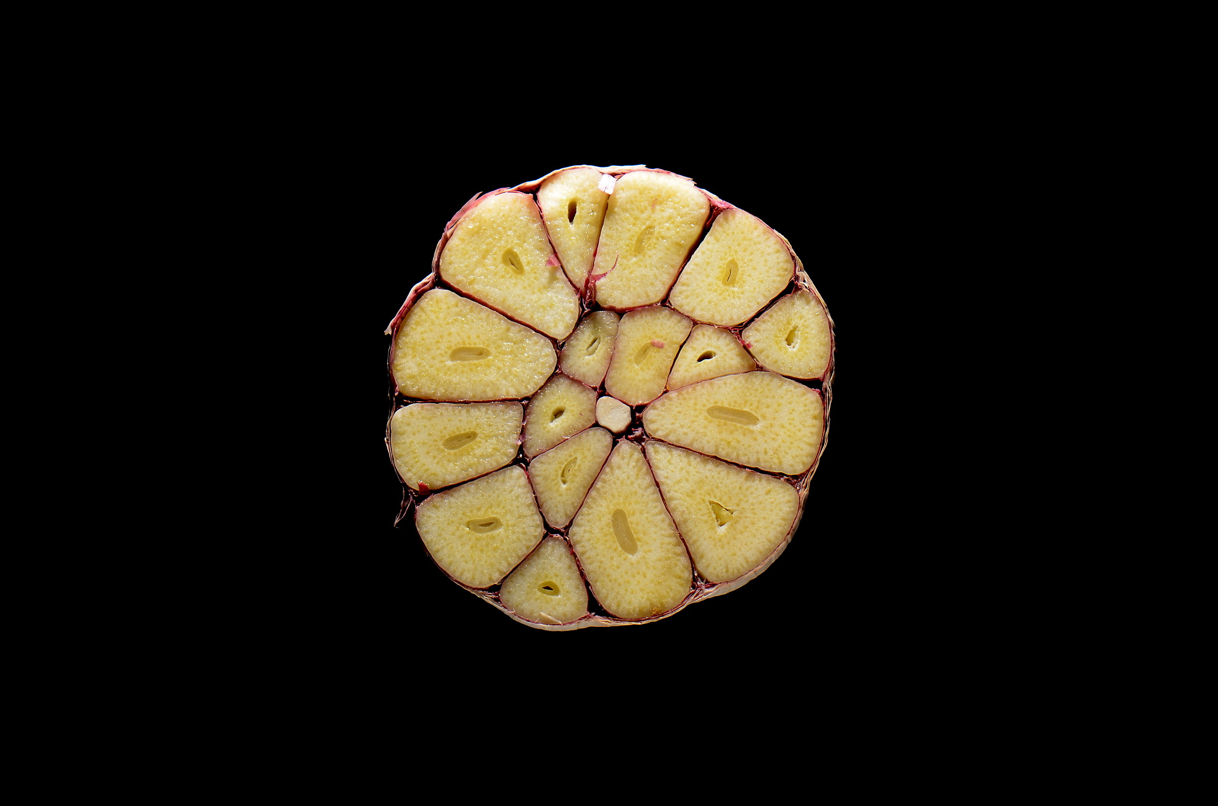 Minimal: Testa d'aglio