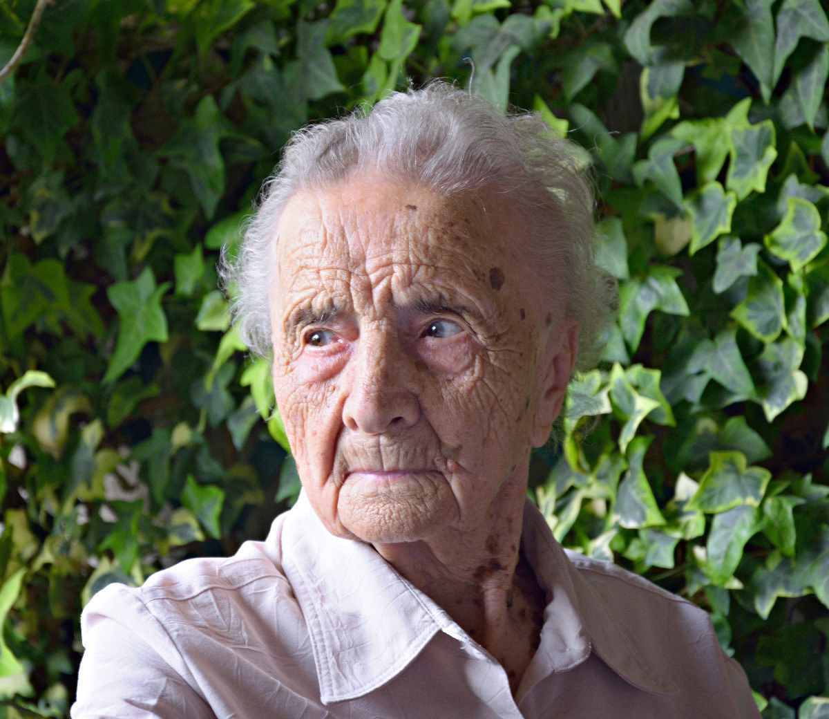 101 e non dimostrarli