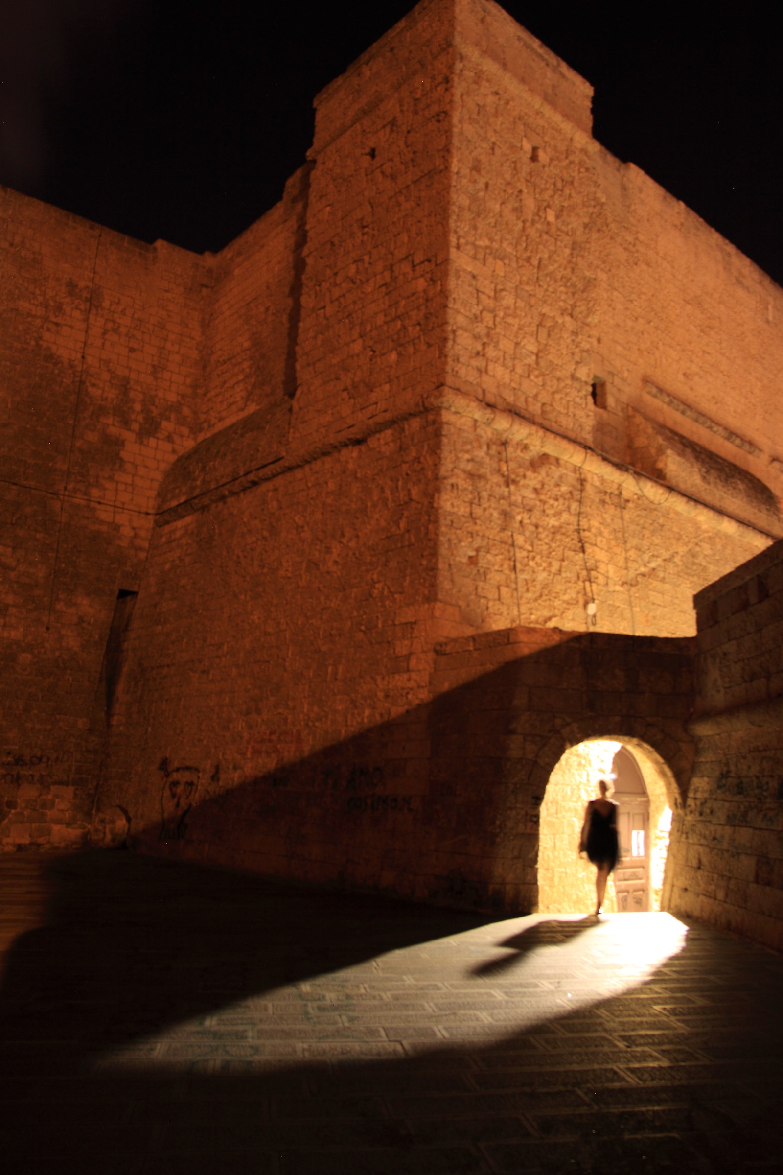 shadow in the fortress